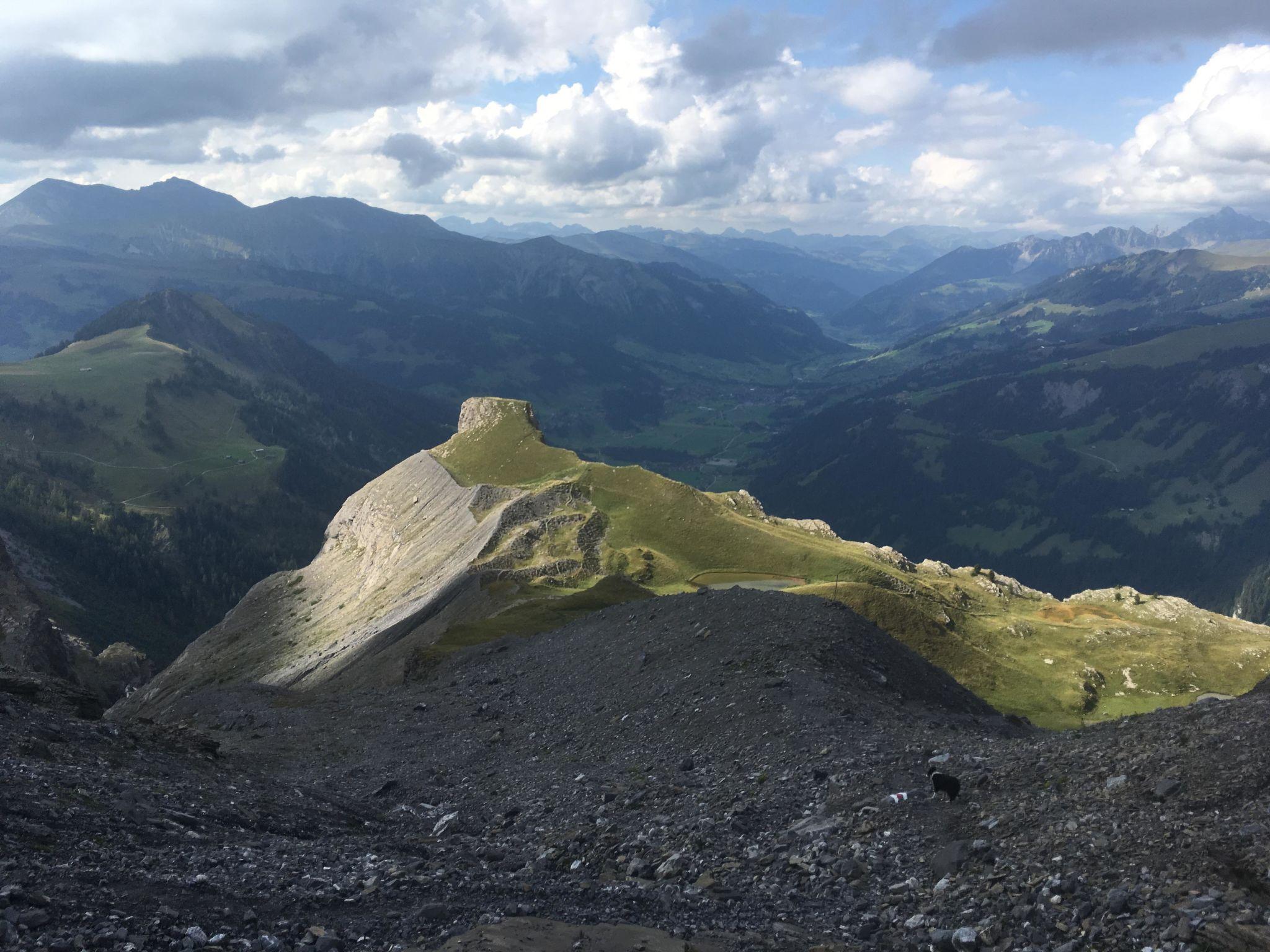 Photo 25 - 1 bedroom Apartment in Lenk with garden