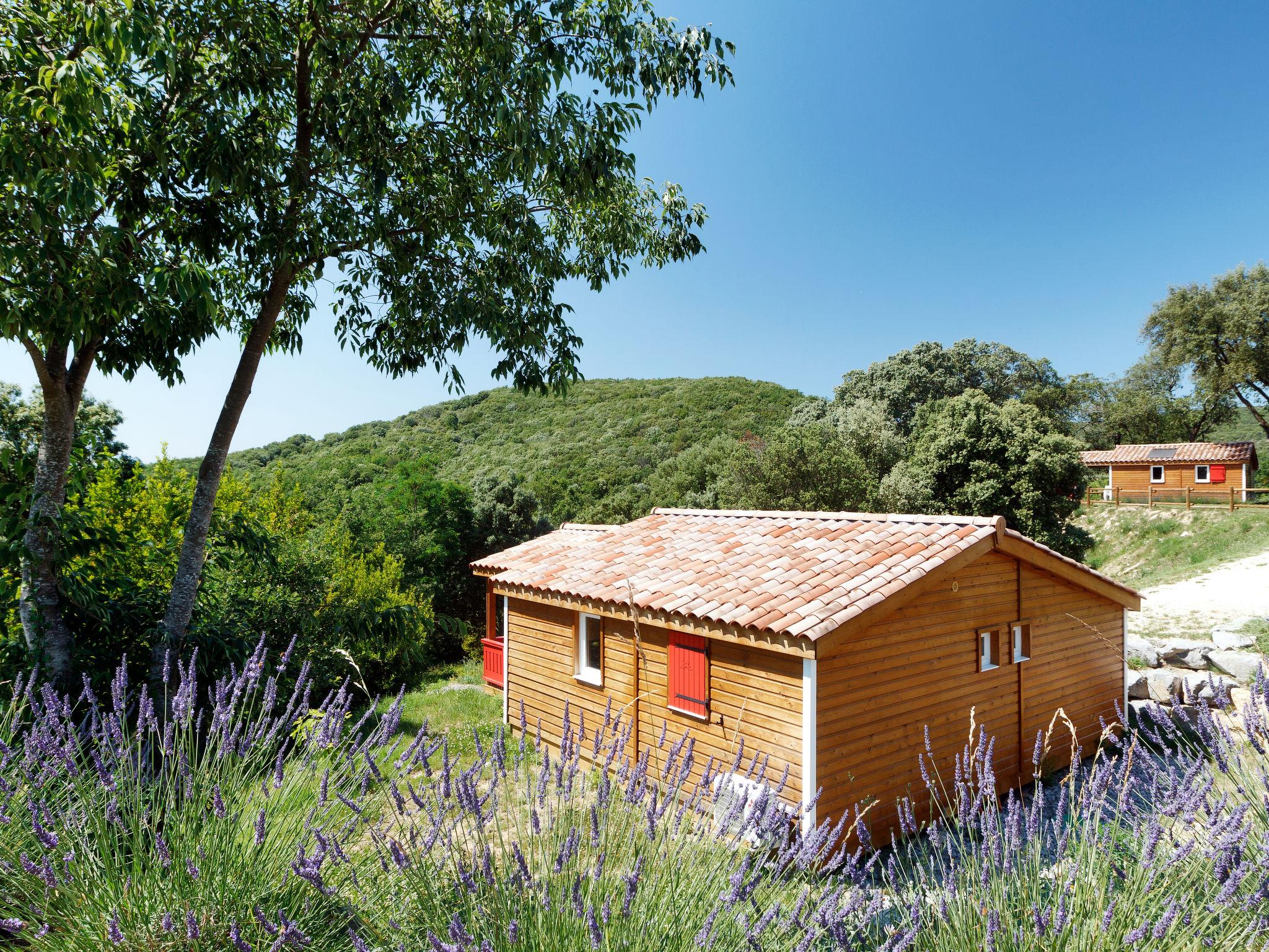 Foto 3 - Casa con 3 camere da letto a Lagorce con piscina e terrazza