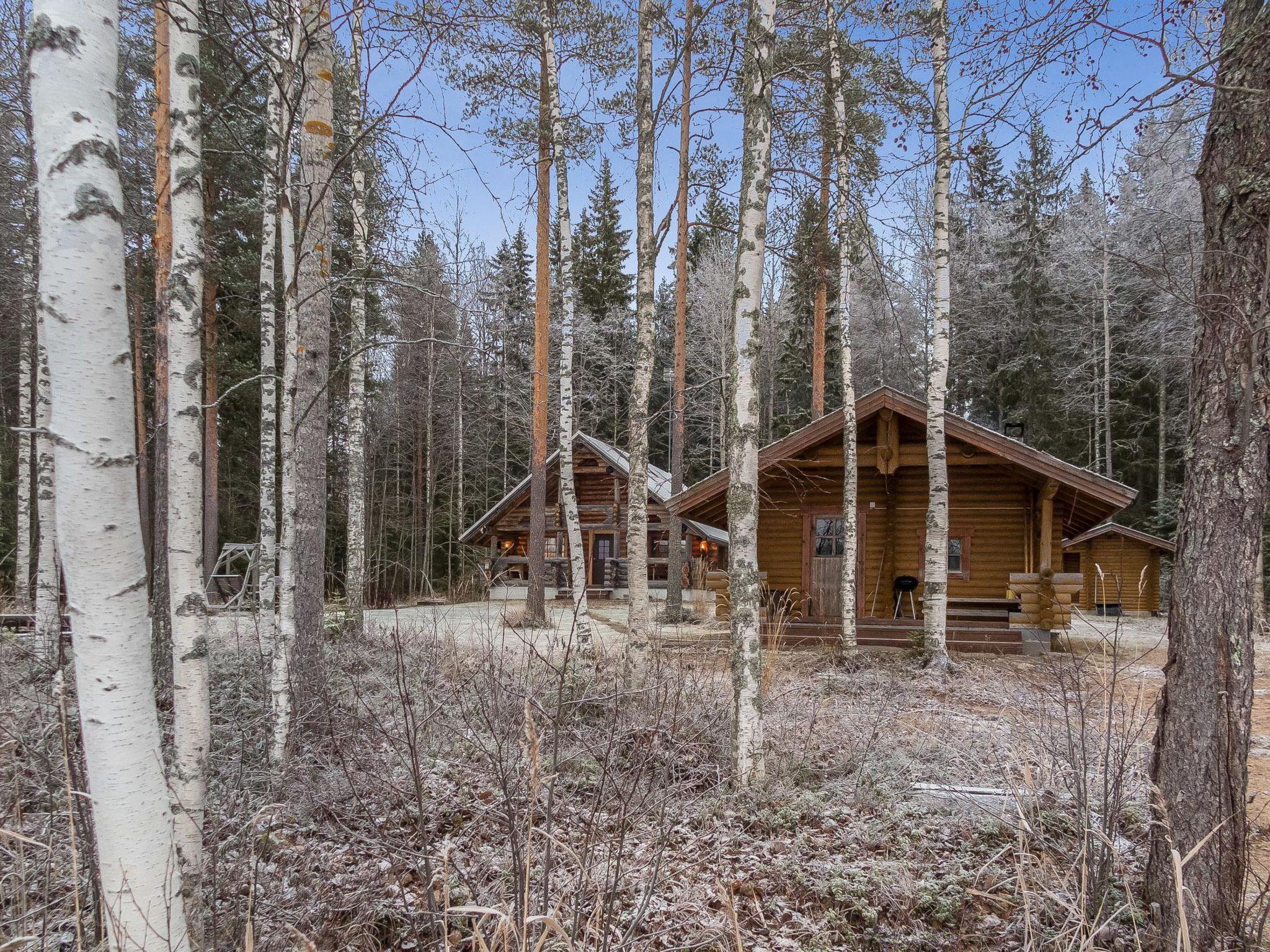 Foto 4 - Casa de 2 habitaciones en Hankasalmi con sauna