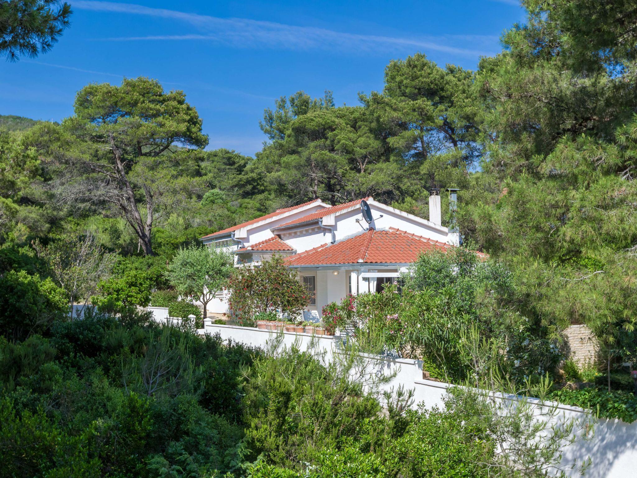 Photo 27 - Maison de 2 chambres à Zadar avec piscine privée et jardin