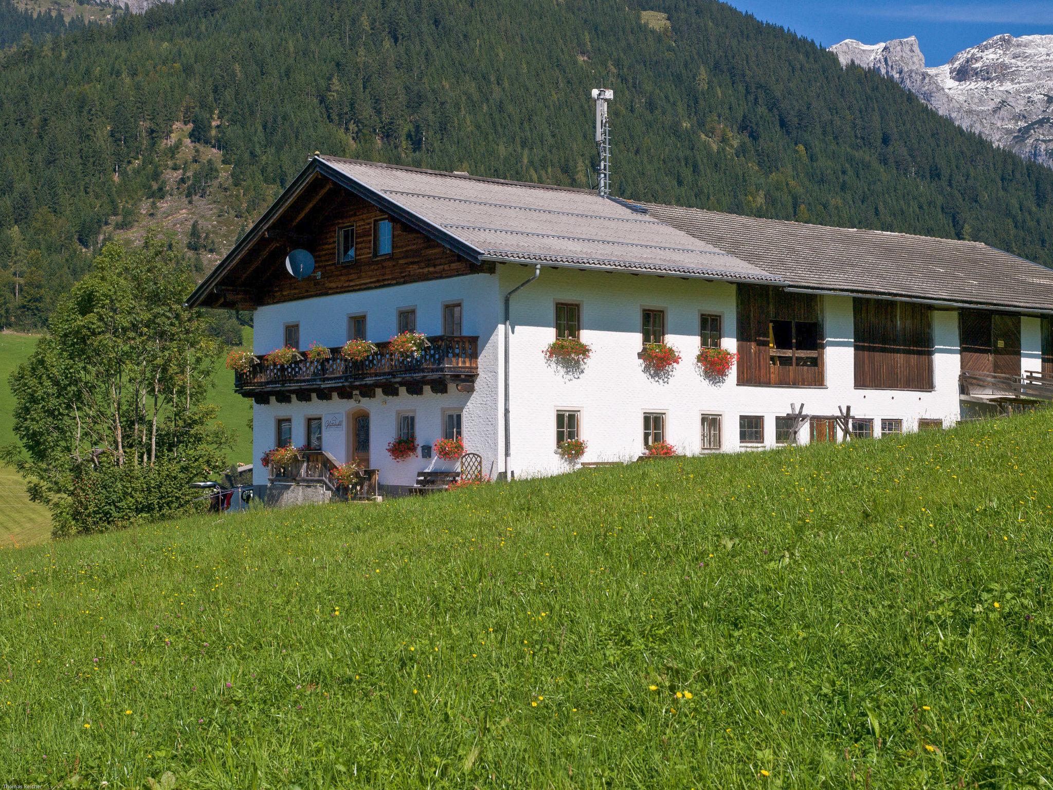 Foto 18 - Casa de 5 quartos em Werfenweng com jardim e vista para a montanha