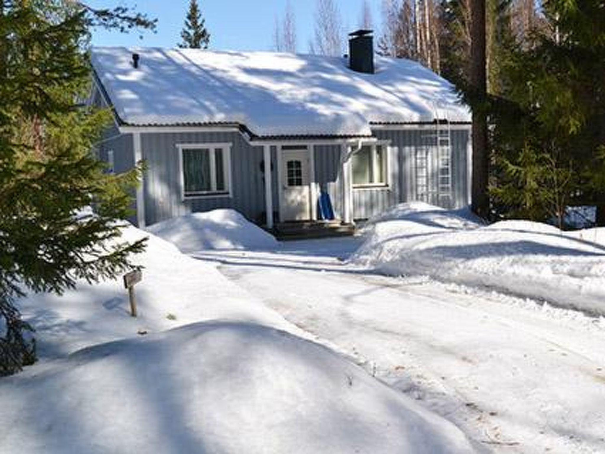 Foto 28 - Casa con 2 camere da letto a Padasjoki con sauna