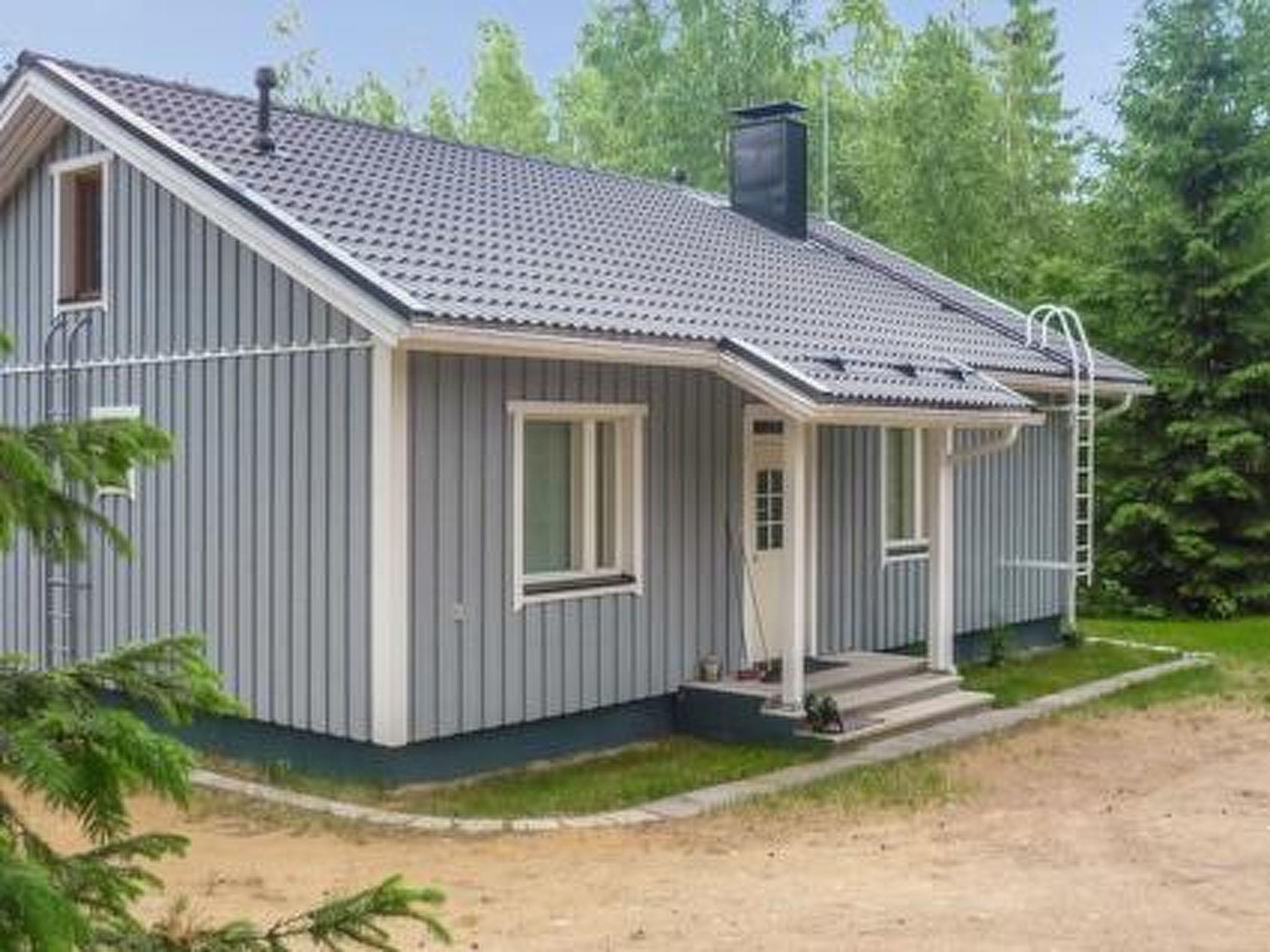 Foto 7 - Casa con 2 camere da letto a Padasjoki con sauna