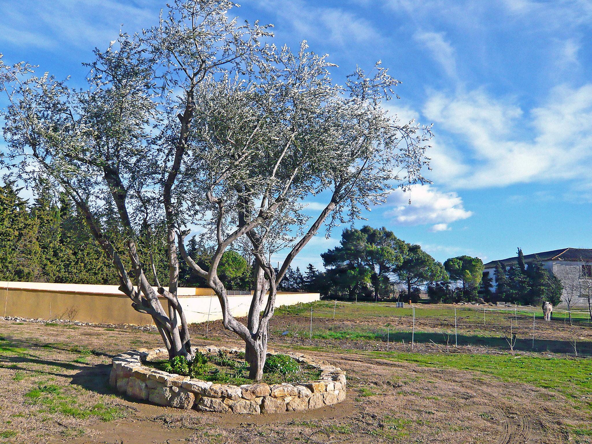 Foto 18 - Casa de 3 quartos em Fleury com terraço