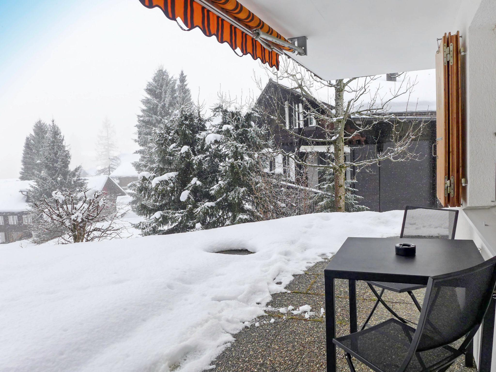 Photo 17 - Appartement en Grindelwald avec jardin