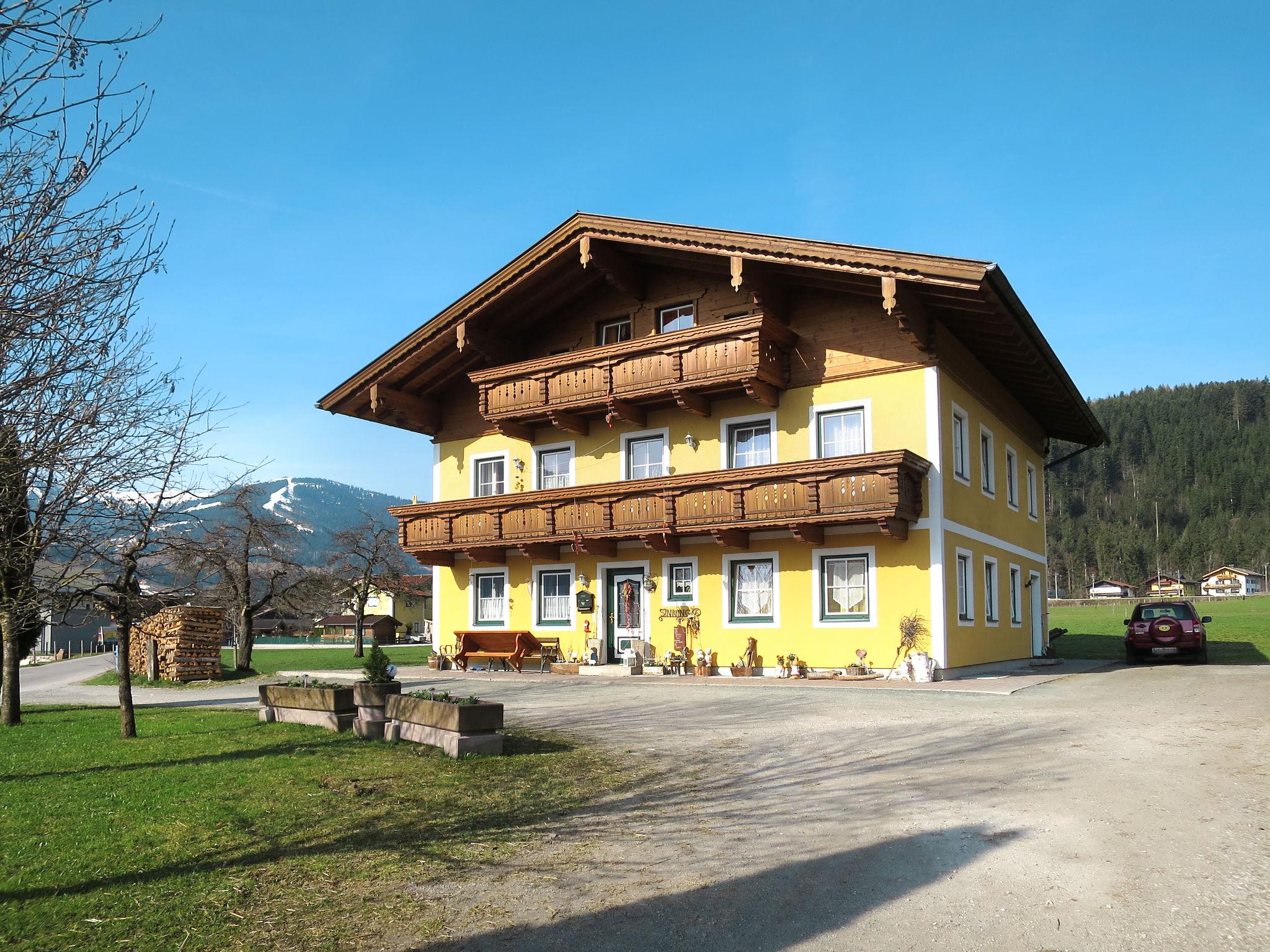 Foto 1 - Appartamento con 2 camere da letto a Leogang con piscina e vista sulle montagne