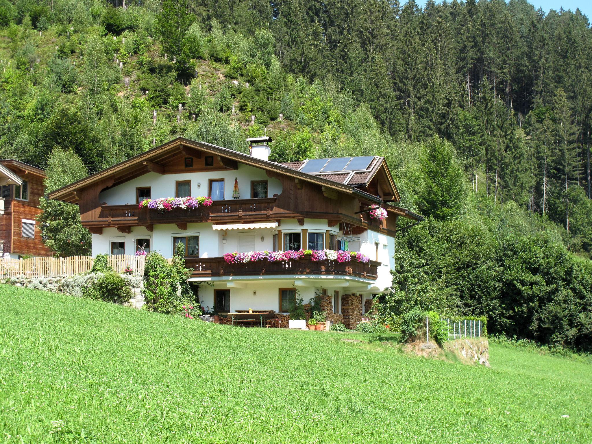 Photo 1 - Appartement de 3 chambres à Aschau im Zillertal avec jardin et vues sur la montagne