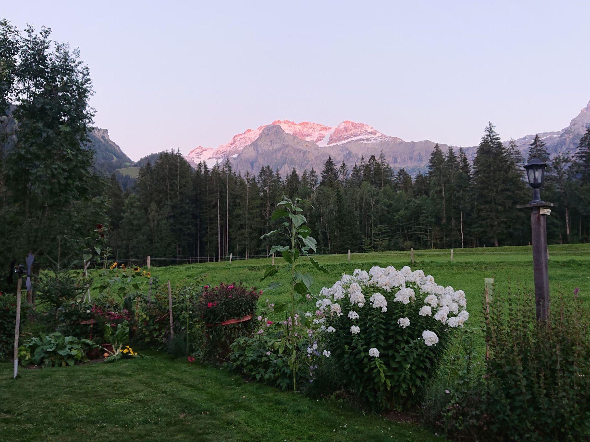 Foto 5 - Appartamento con 2 camere da letto a Lenk con giardino