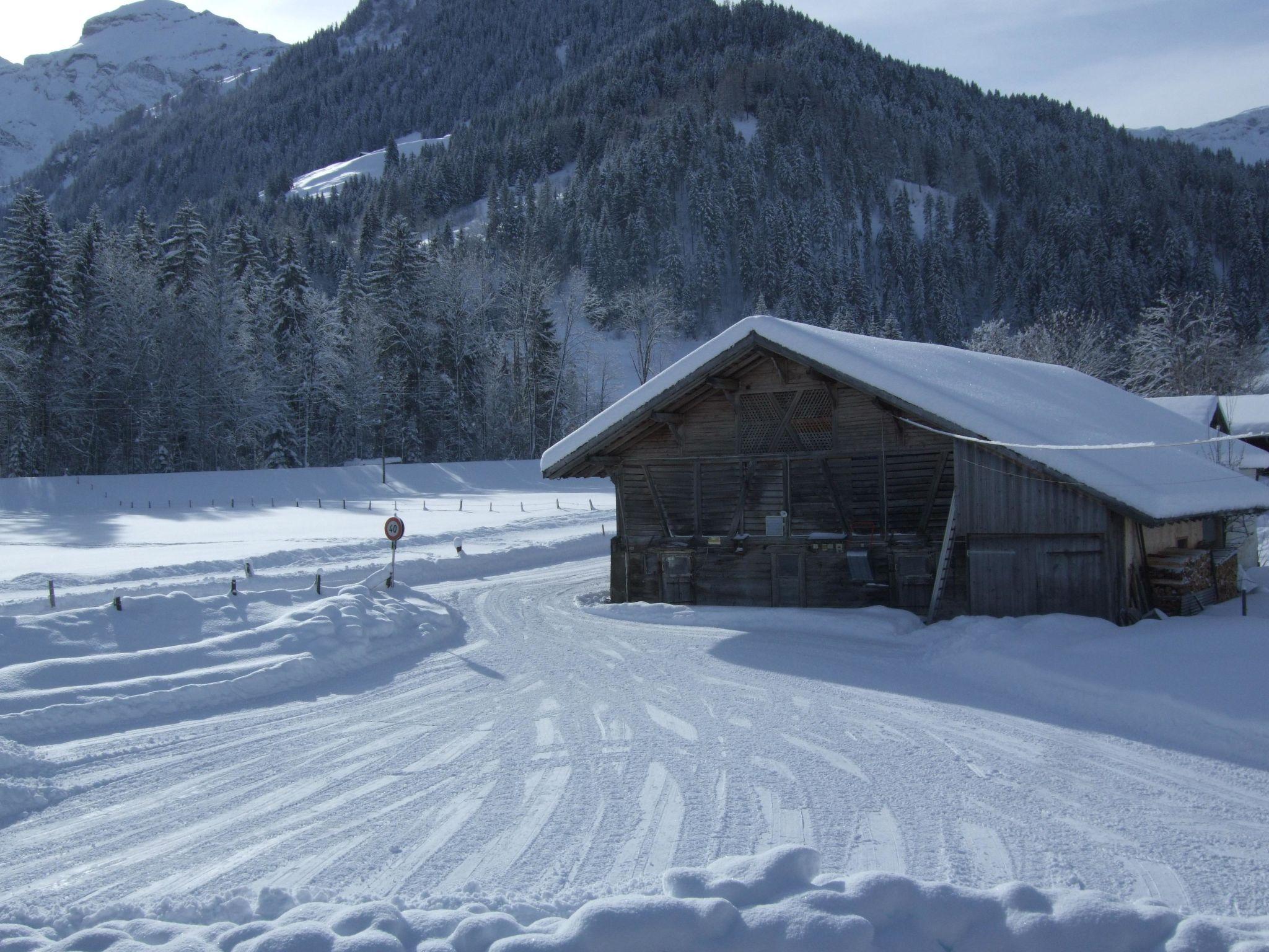 Foto 7 - Appartamento con 2 camere da letto a Lenk con giardino