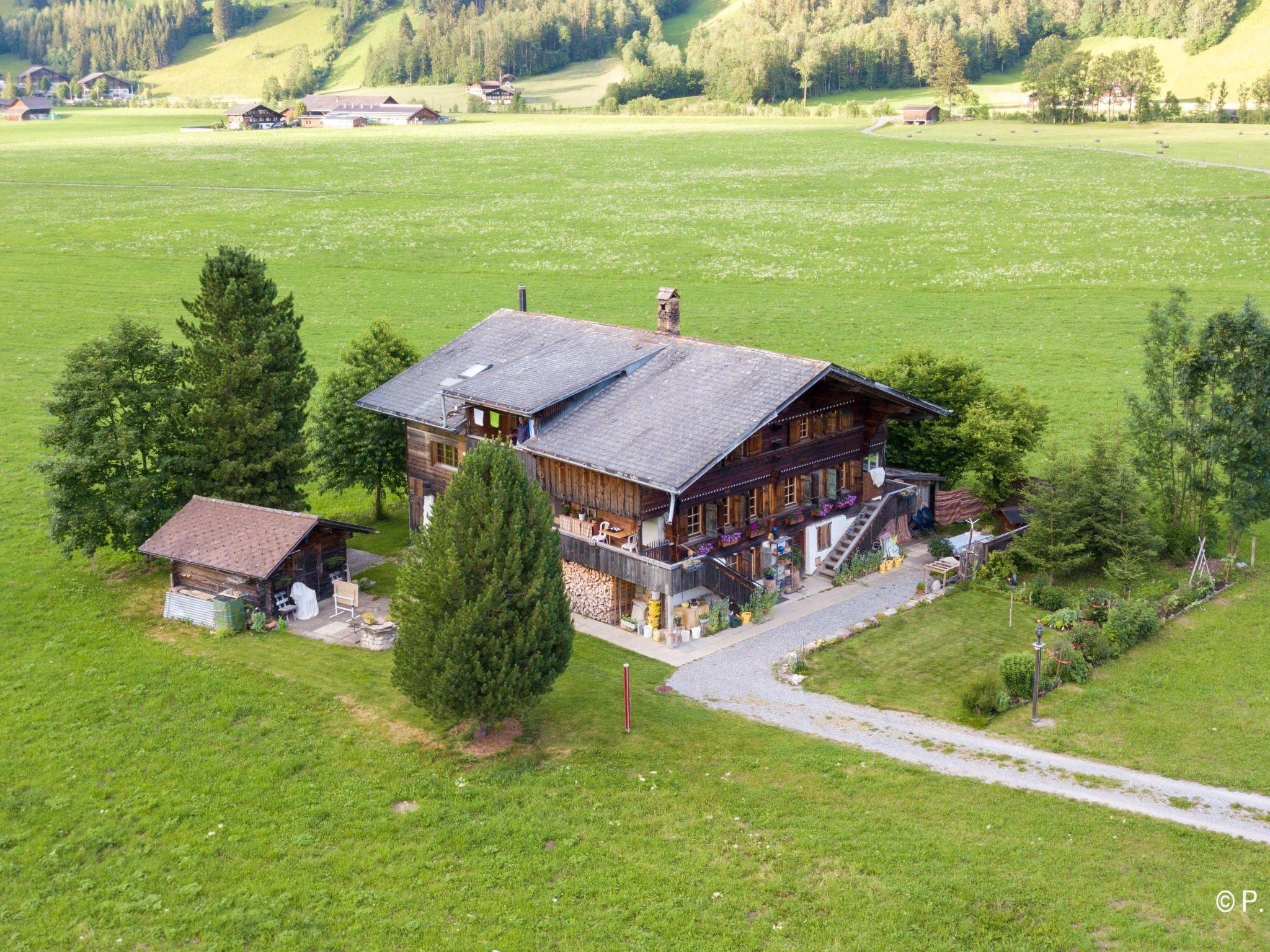 Photo 1 - Appartement de 2 chambres à Lenk avec jardin