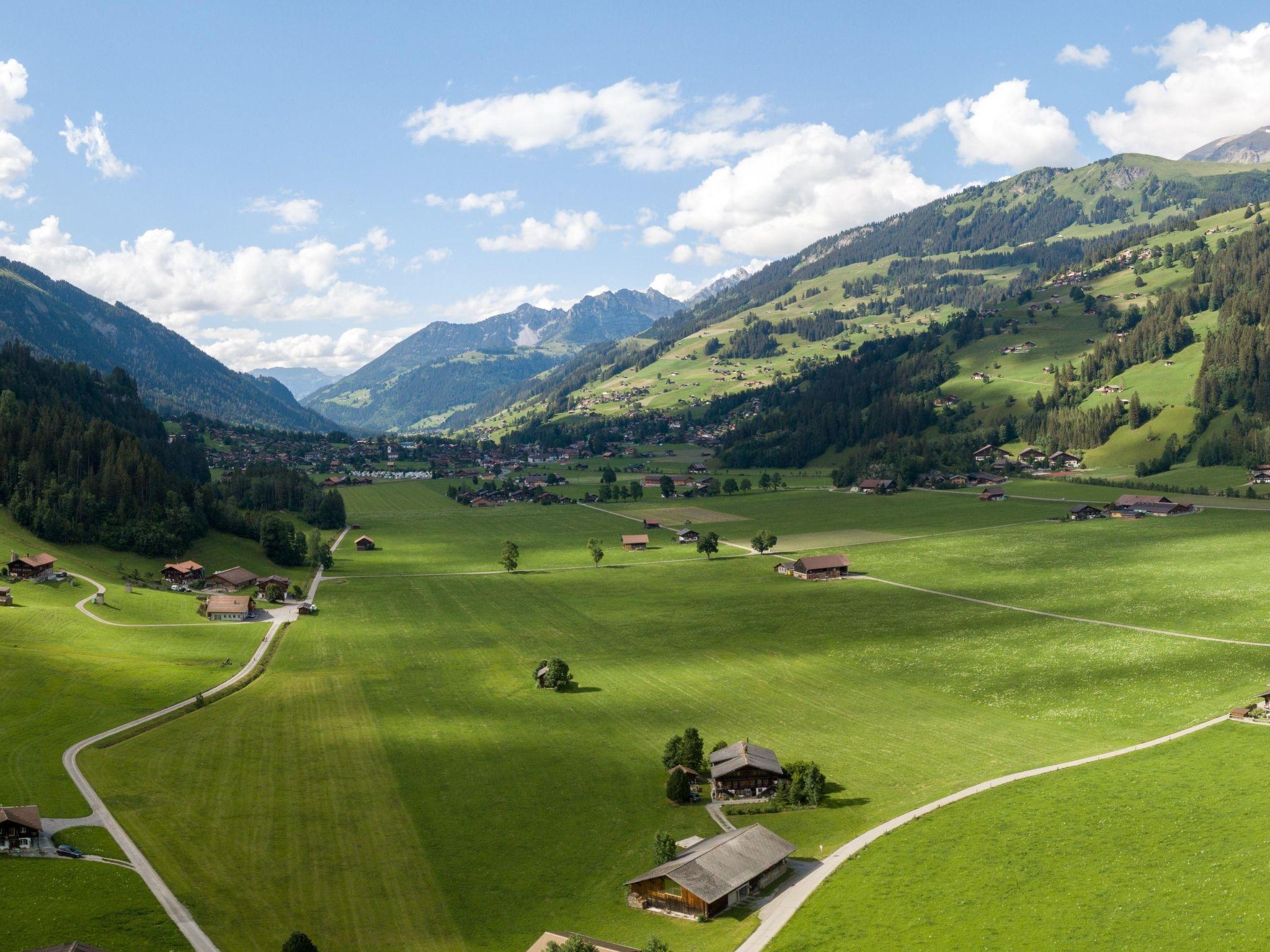 Photo 4 - Appartement de 2 chambres à Lenk avec jardin