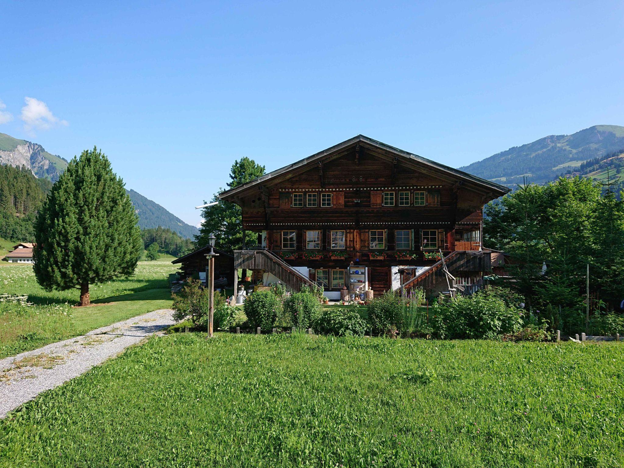 Photo 2 - Appartement de 2 chambres à Lenk avec jardin