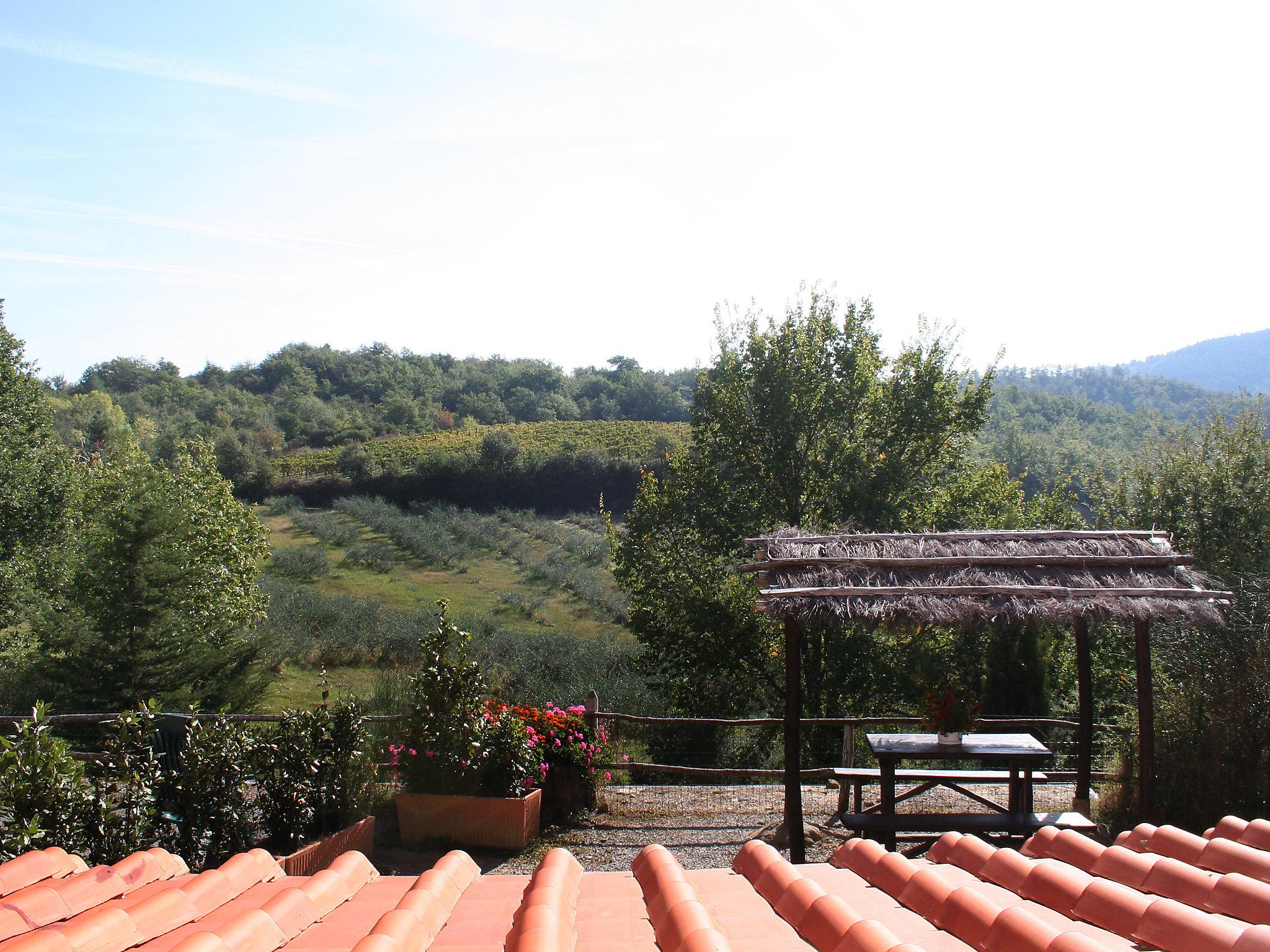 Foto 5 - Apartamento de 2 habitaciones en Gaiole in Chianti con piscina y jardín