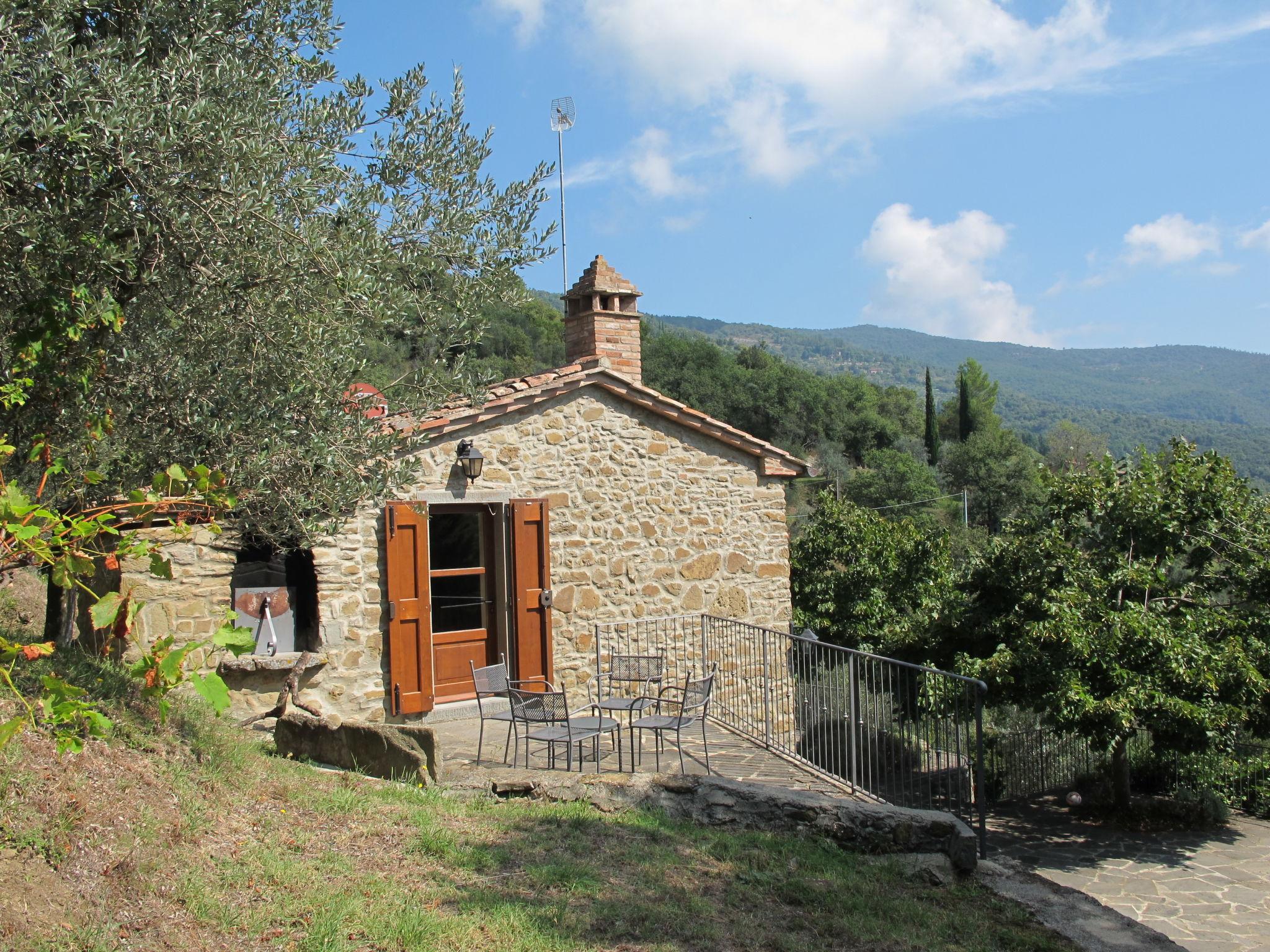 Foto 35 - Casa de 3 habitaciones en Cortona con jardín y terraza