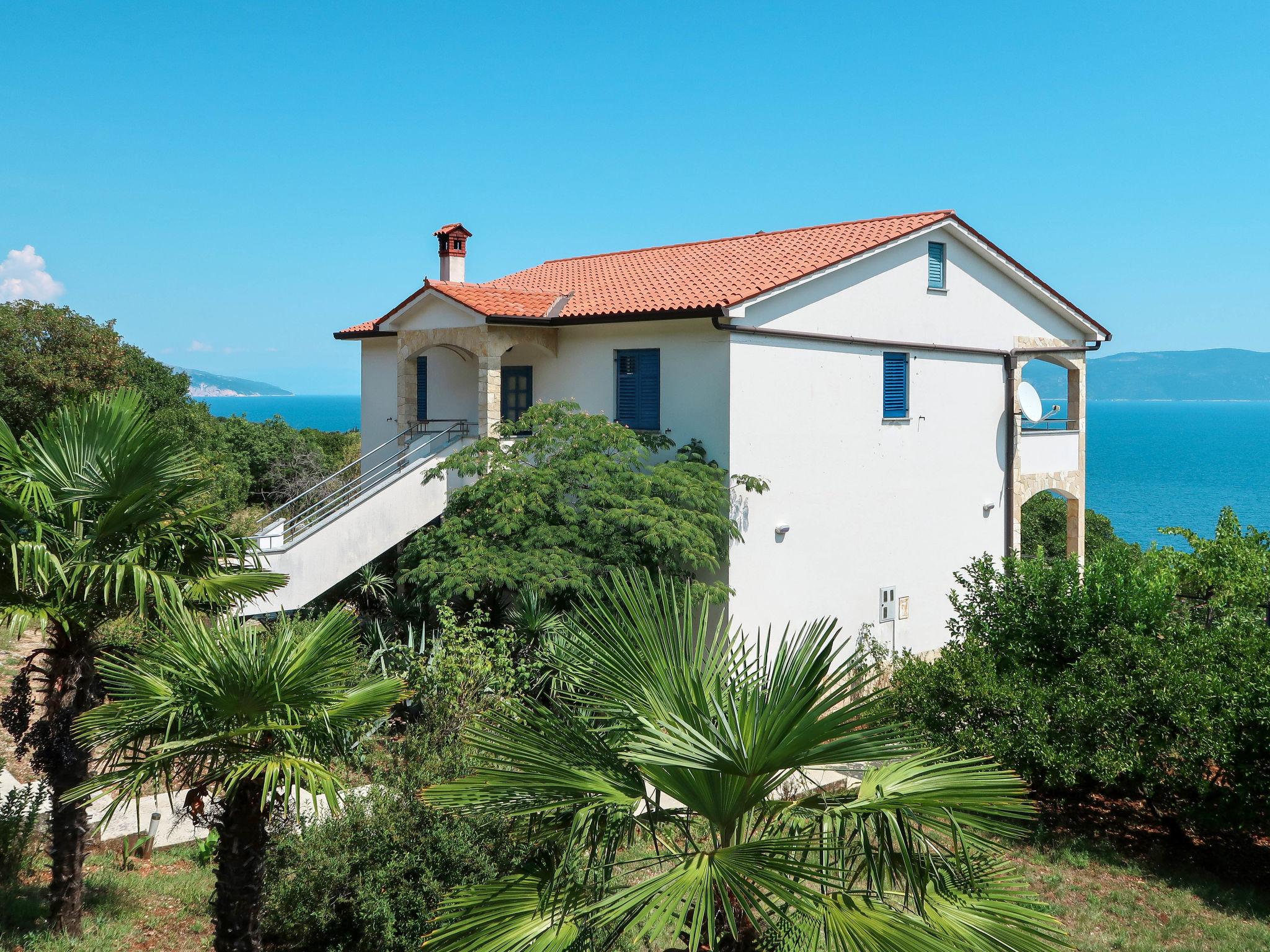 Foto 1 - Apartamento de 1 habitación en Raša con jardín y terraza