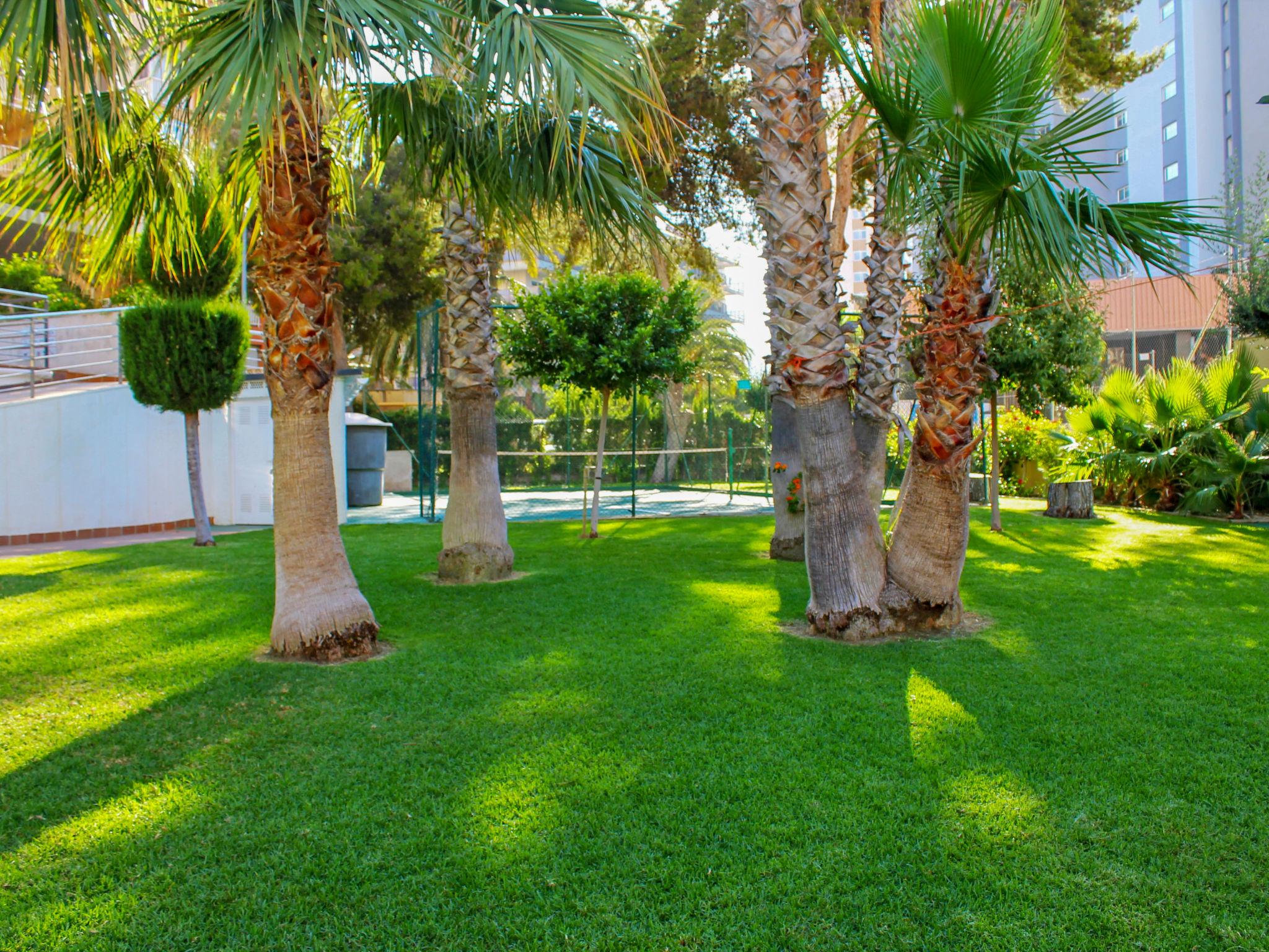 Photo 23 - Appartement de 1 chambre à Benidorm avec piscine et terrasse