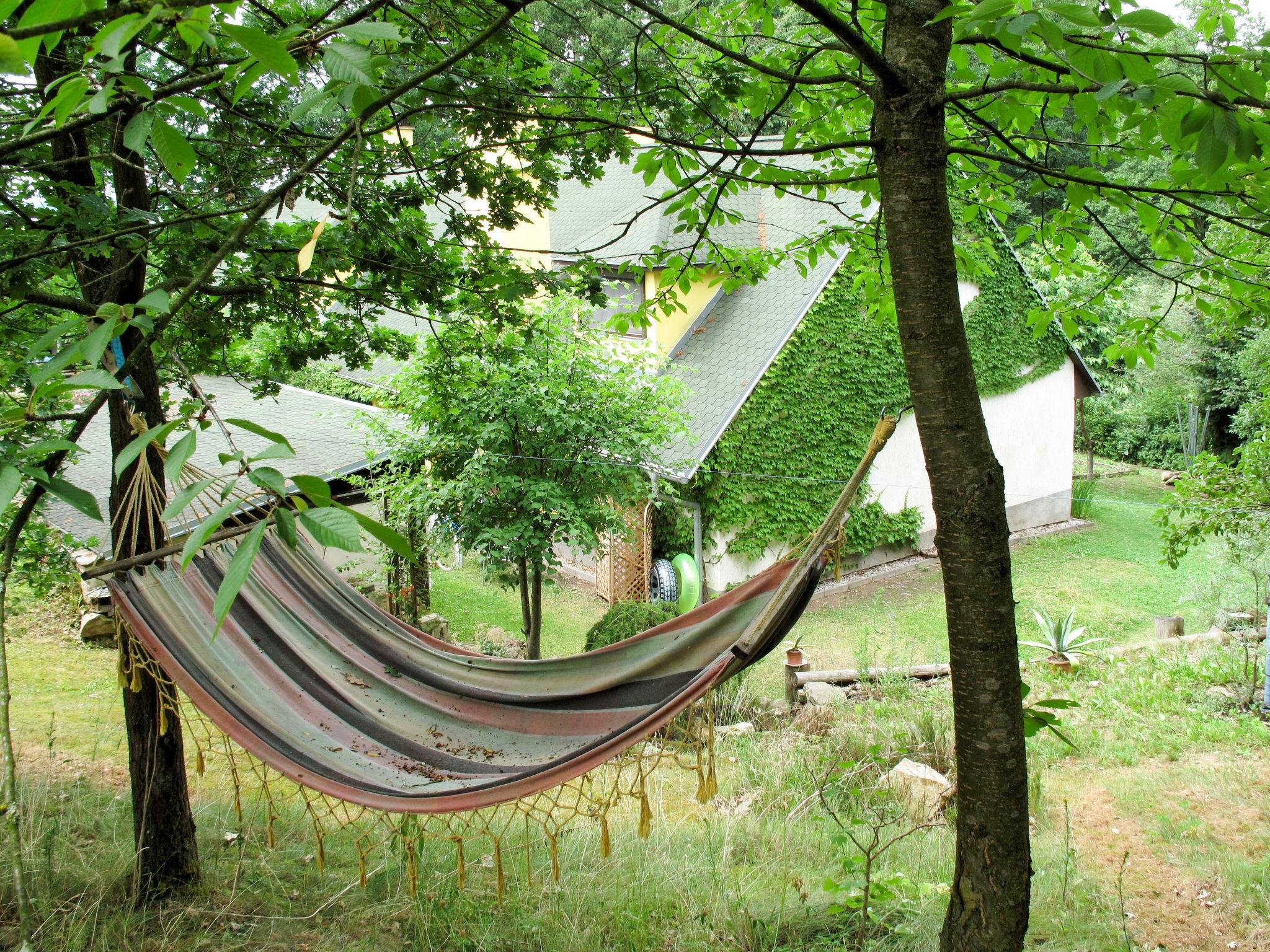 Foto 36 - Casa con 1 camera da letto a Žabovřesky con piscina privata e giardino