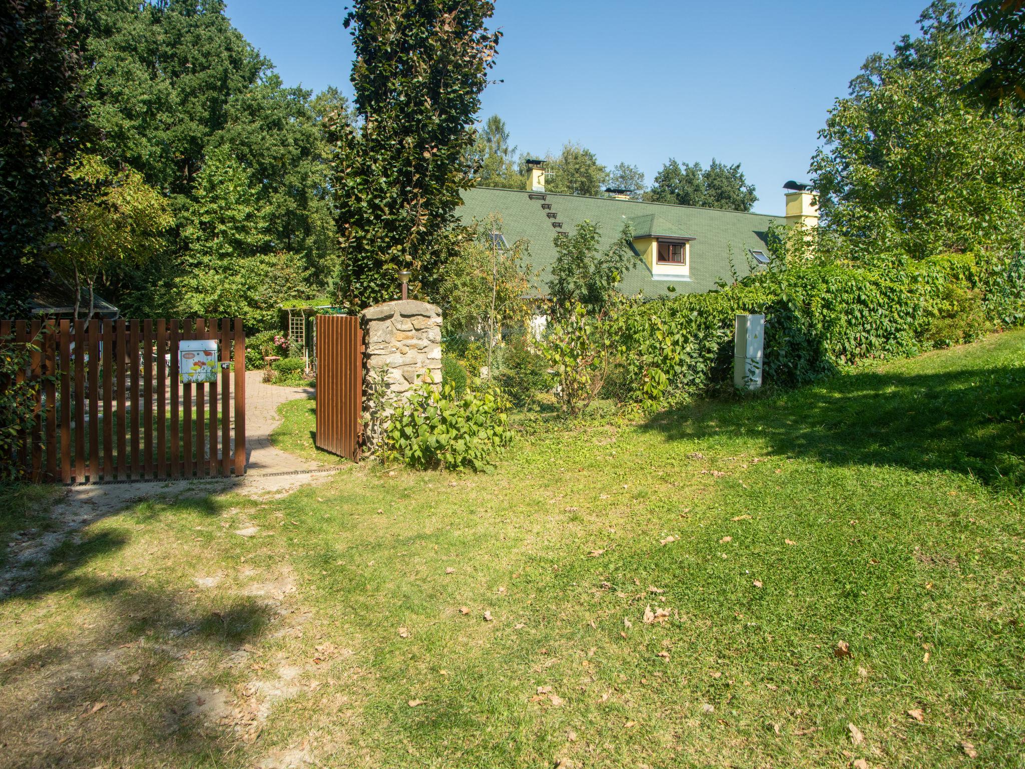 Photo 28 - 1 bedroom House in Žabovřesky with private pool and garden