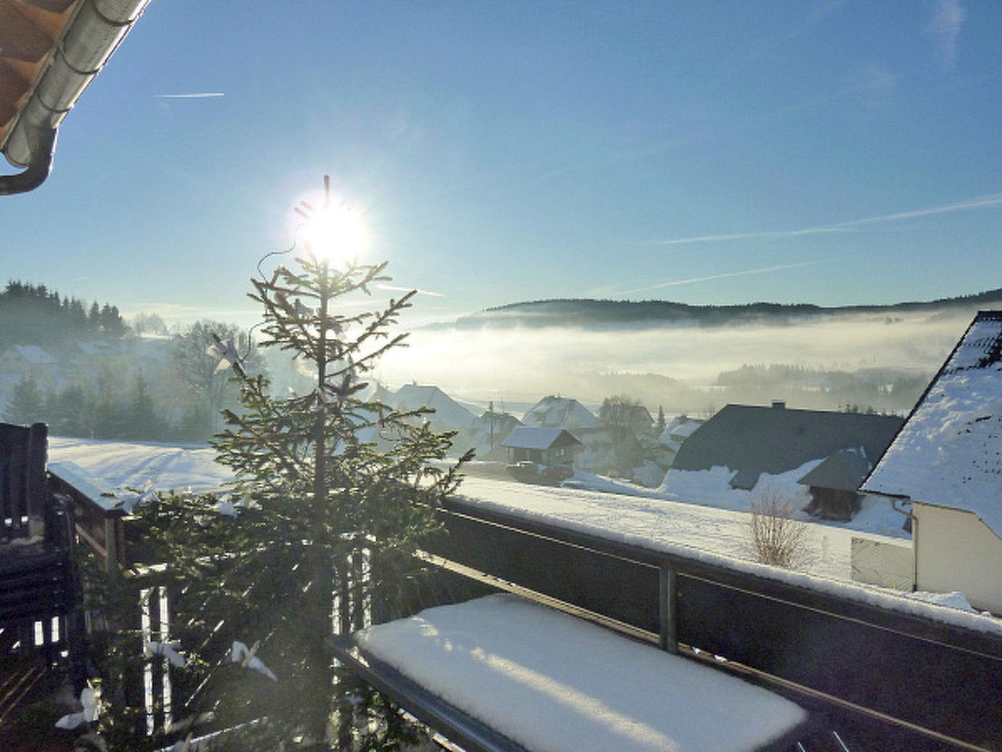 Foto 19 - Apartment mit 4 Schlafzimmern in Bernau im Schwarzwald mit terrasse und blick auf die berge