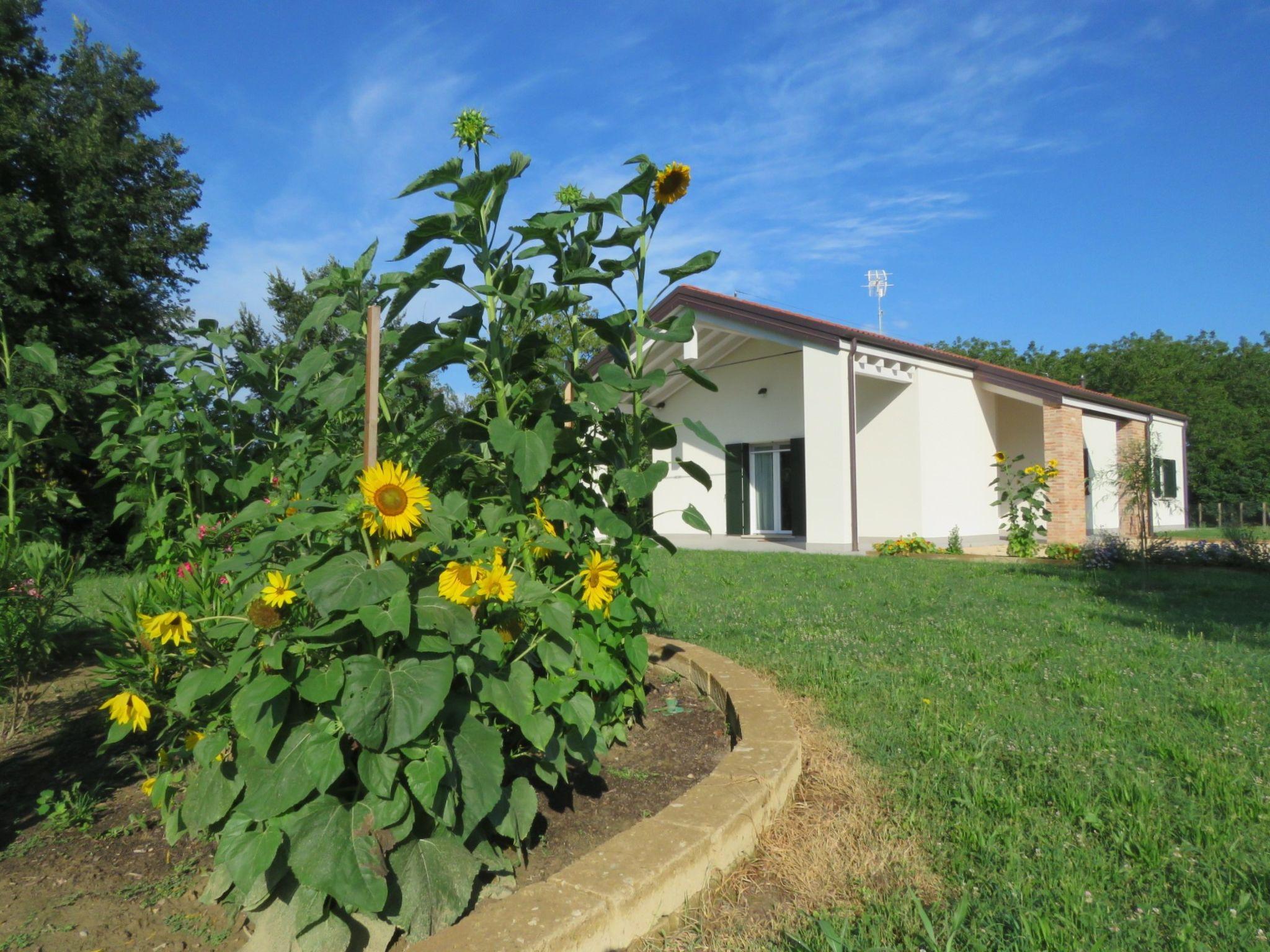 Photo 27 - Maison de 3 chambres à Mira avec piscine et jardin