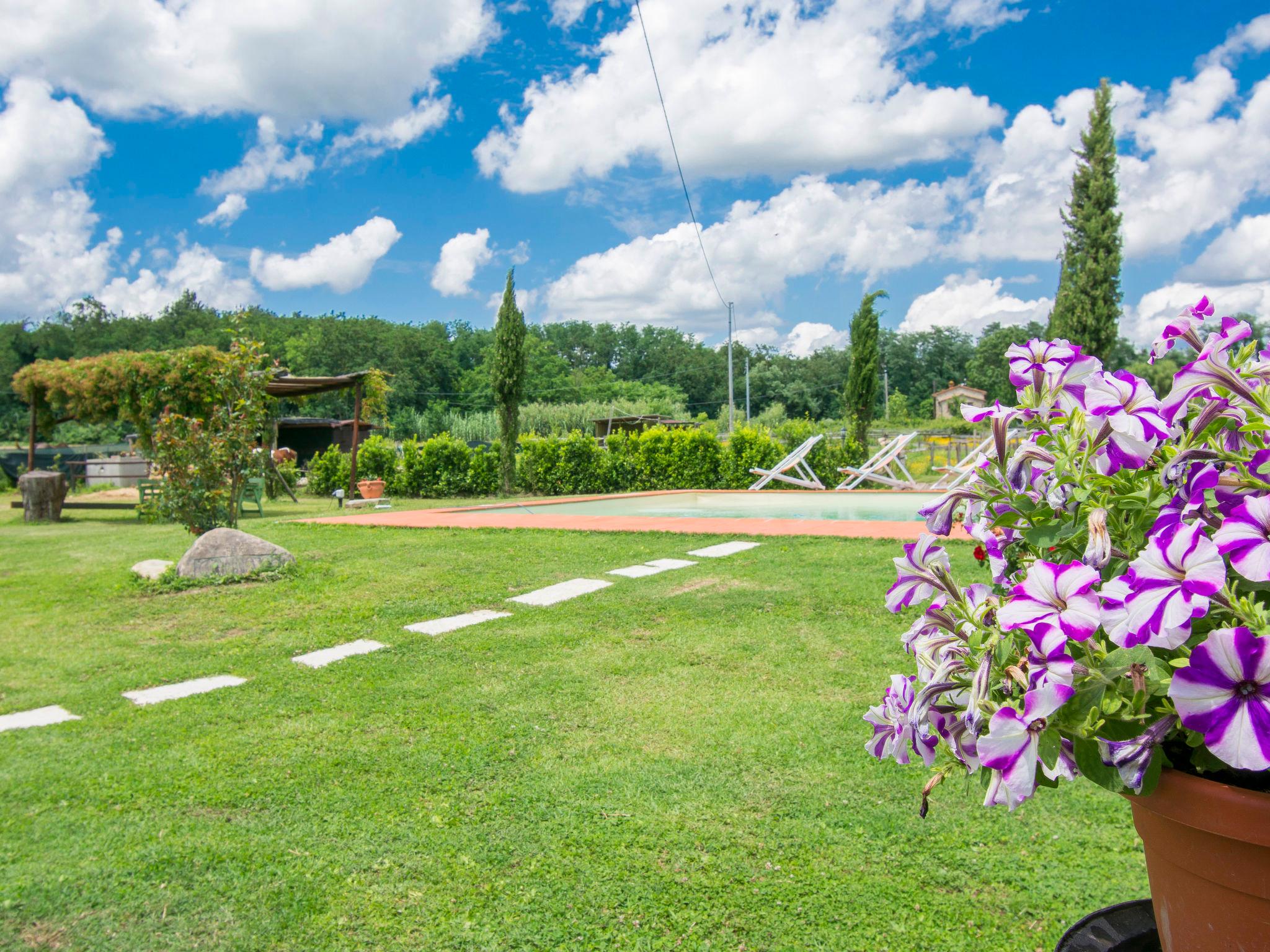 Foto 5 - Casa con 5 camere da letto a Capannori con piscina privata e giardino