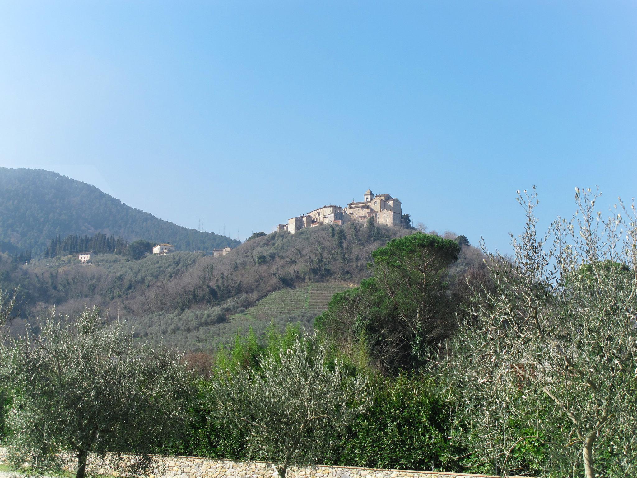 Photo 38 - 7 bedroom House in Capannori with private pool and terrace