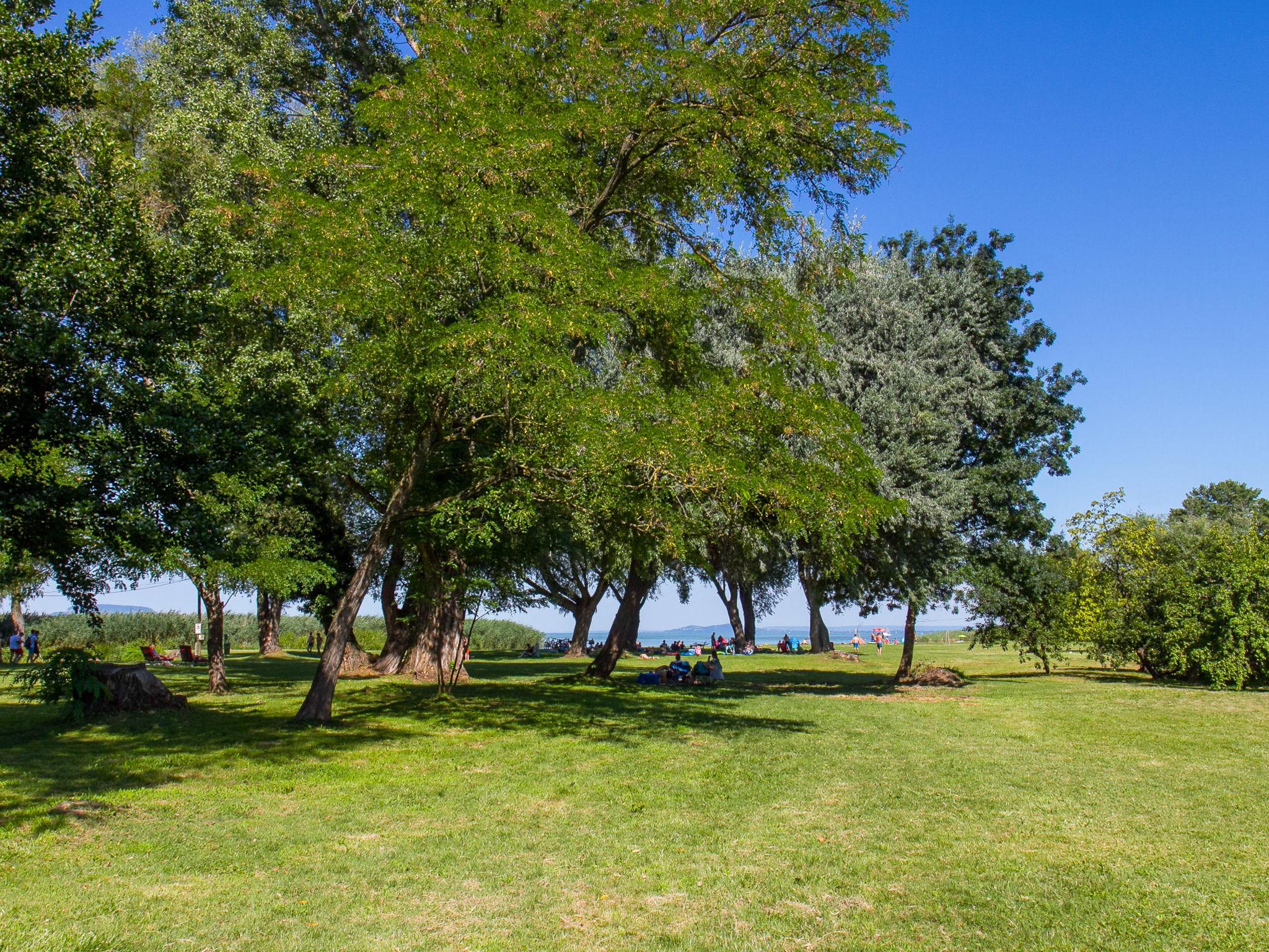 Foto 10 - Casa de 4 quartos em Balatonberény com jardim e terraço