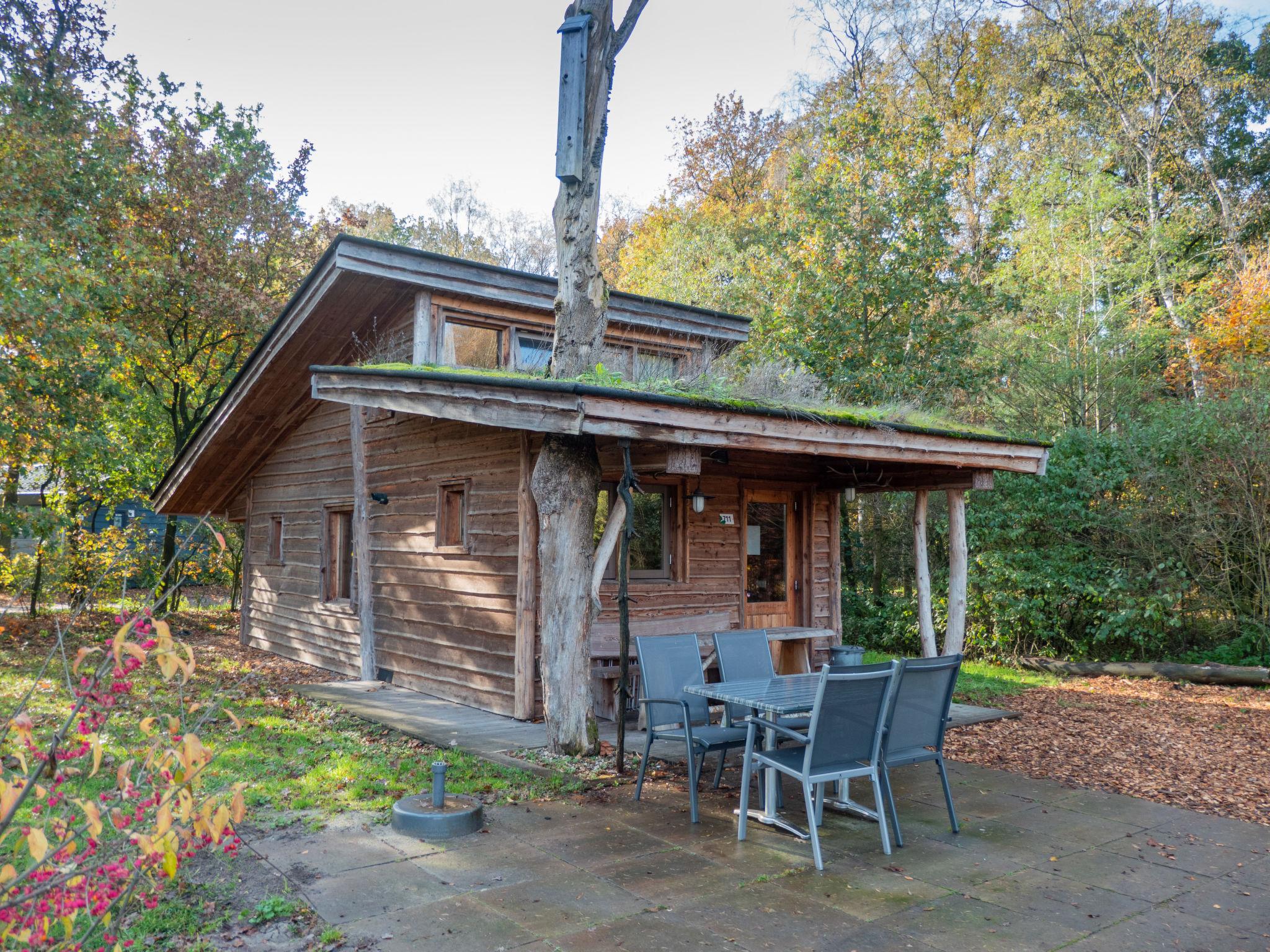 Foto 2 - Haus mit 1 Schlafzimmer in Otterlo mit schwimmbad und terrasse