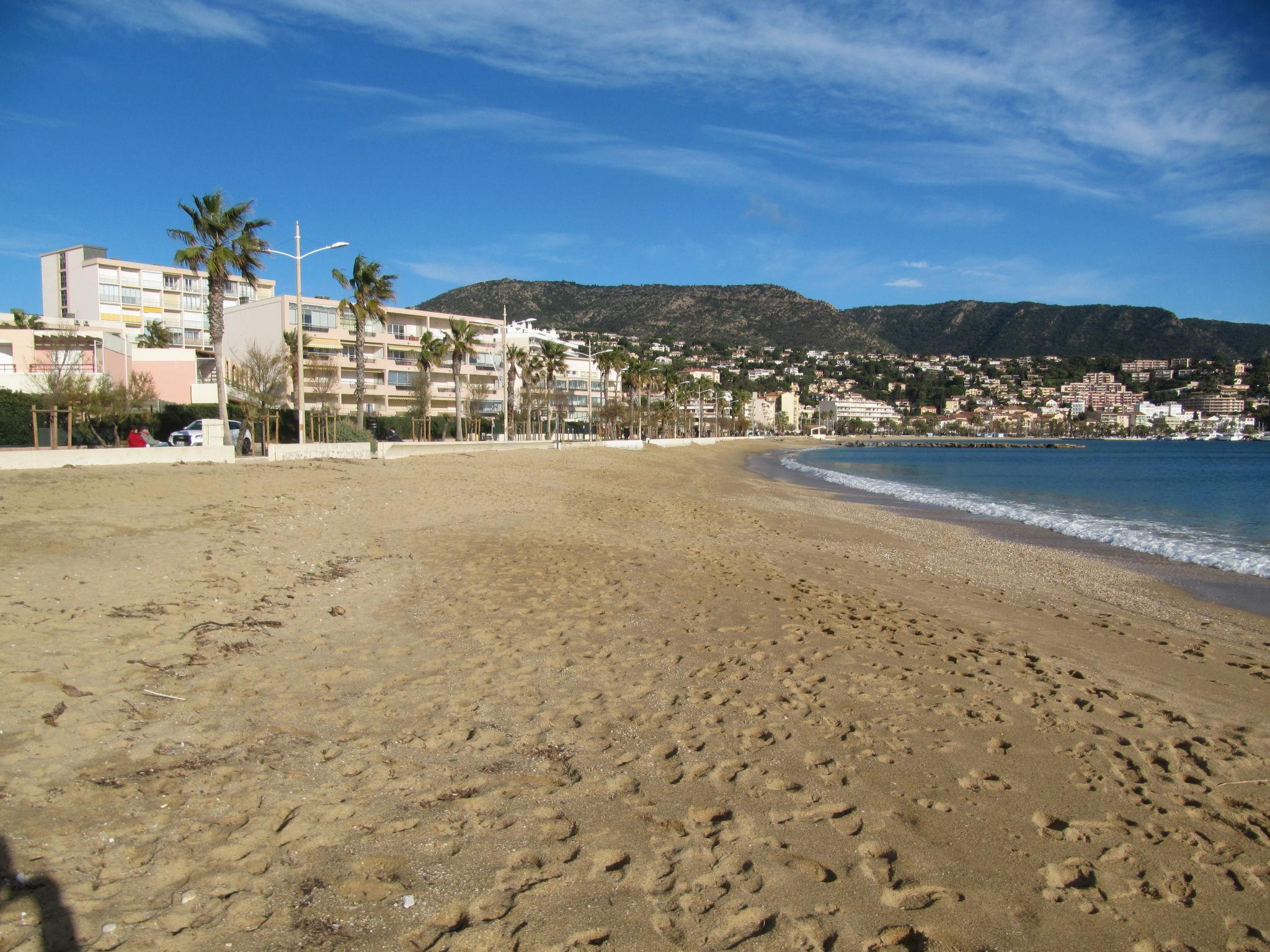 Foto 19 - Apartamento en Le Lavandou con jardín y vistas al mar