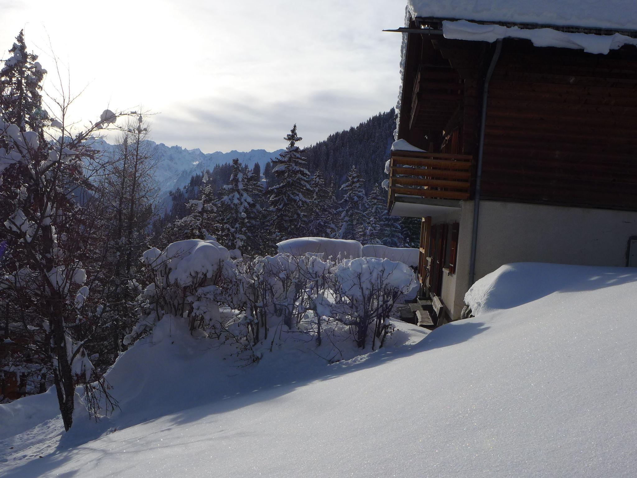 Foto 19 - Apartamento de 2 habitaciones en Val de Bagnes con jardín y vistas a la montaña