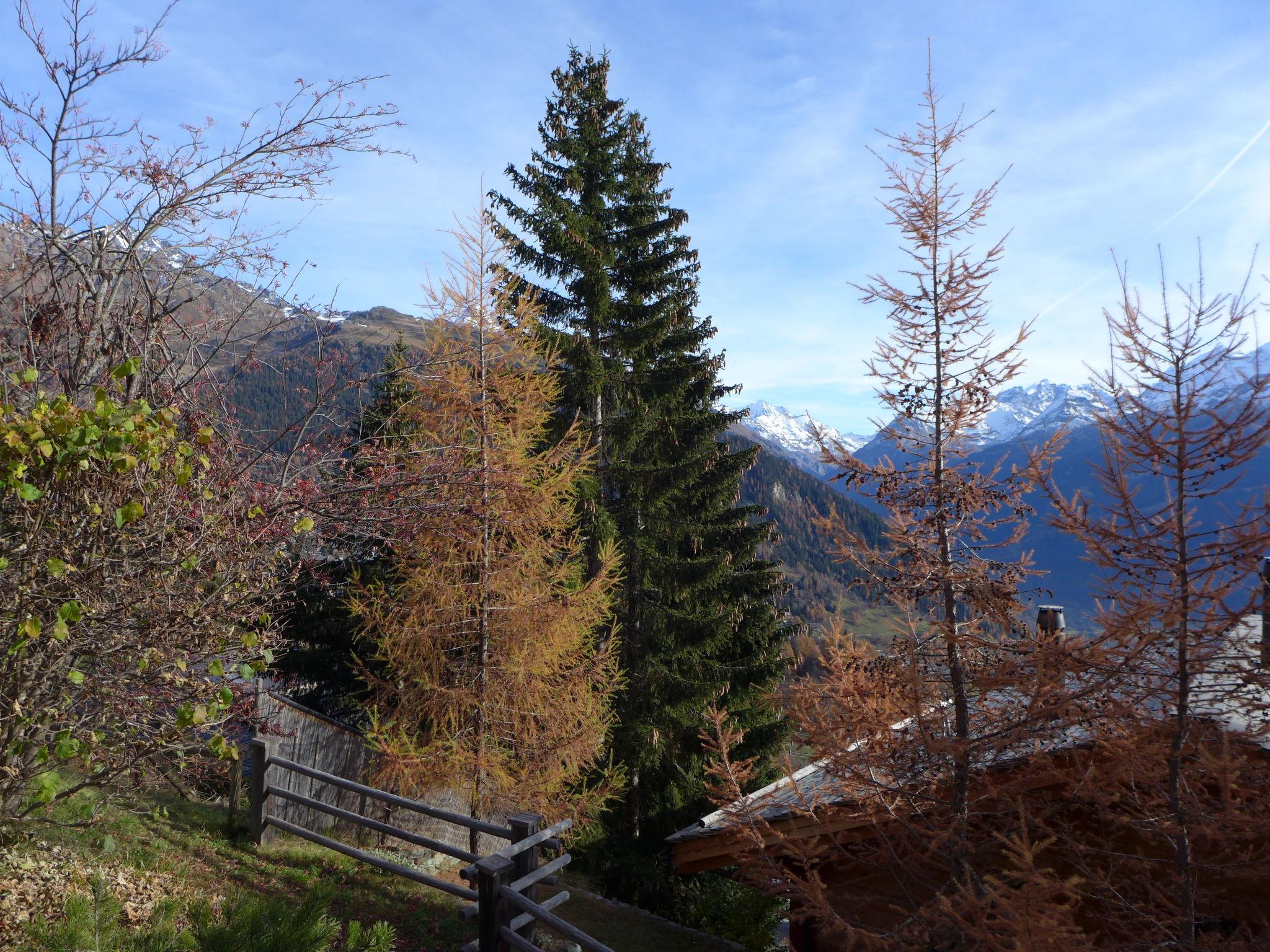 Photo 15 - 2 bedroom Apartment in Val de Bagnes with garden and mountain view