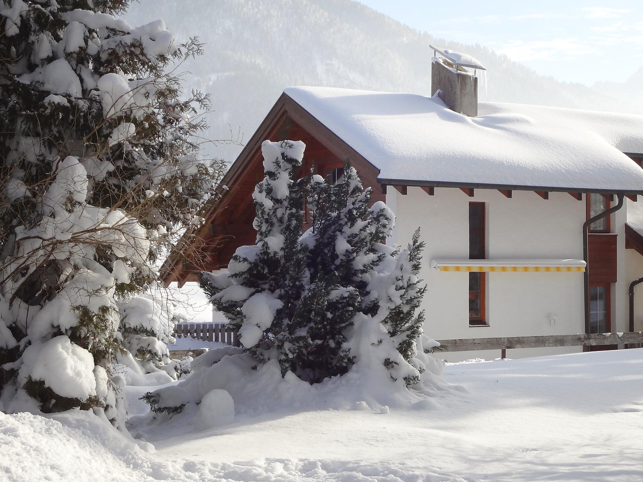 Foto 38 - Casa de 3 quartos em Achenkirch com jardim e terraço