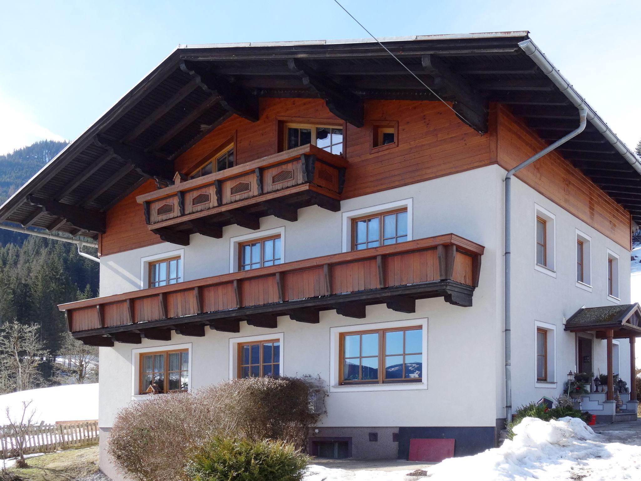 Foto 1 - Apartamento de 2 habitaciones en Hüttau con sauna y vistas a la montaña