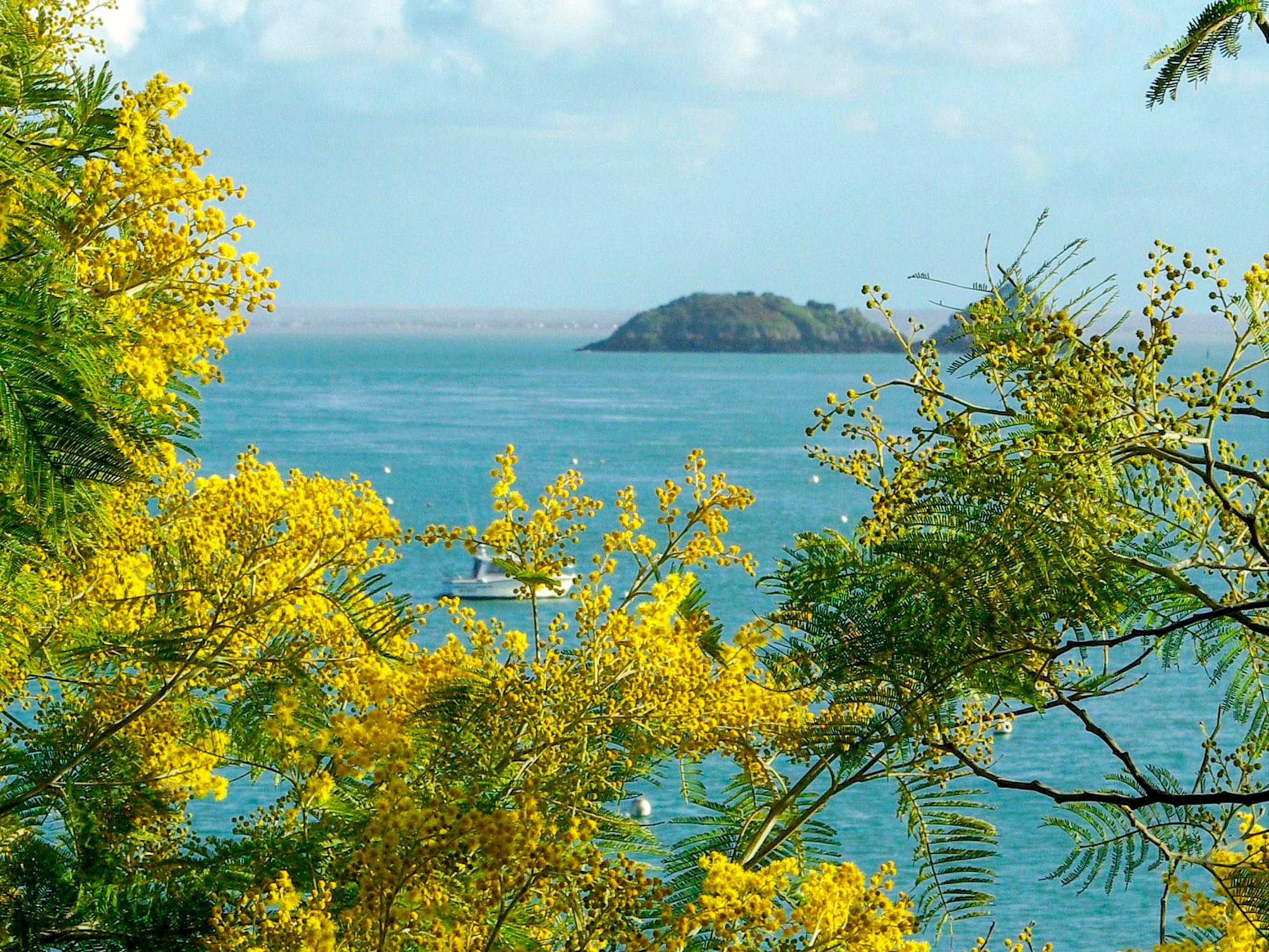 Photo 15 - Appartement de 2 chambres à Cancale avec vues à la mer