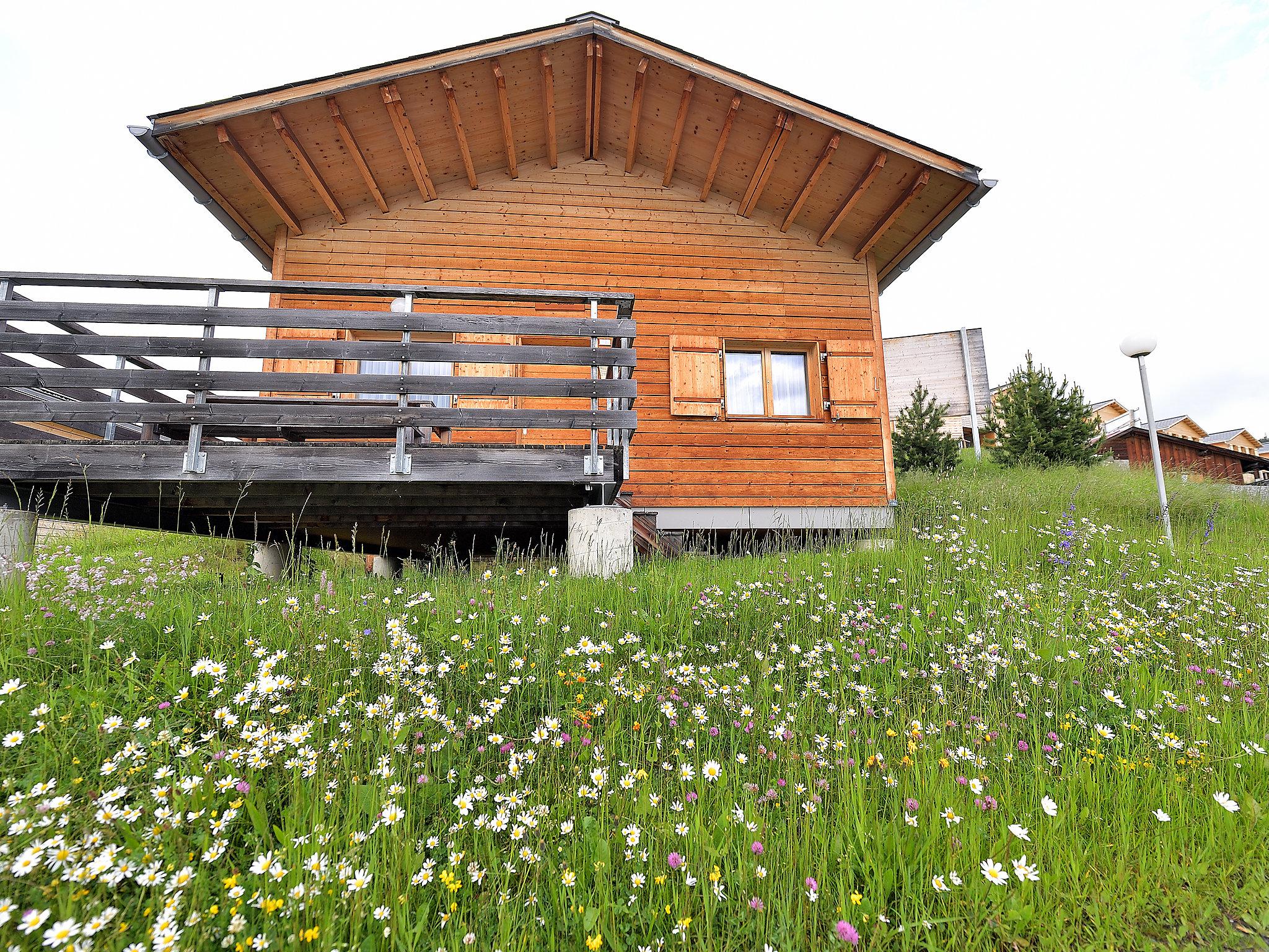 Photo 29 - Maison de 2 chambres à Tschappina avec terrasse et vues sur la montagne