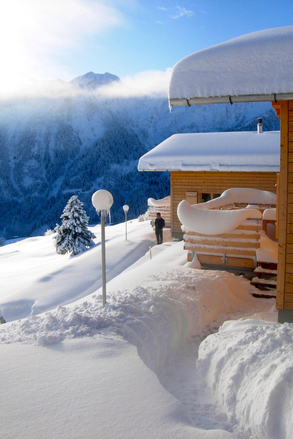 Foto 48 - Casa de 2 quartos em Tschappina com terraço e vista para a montanha