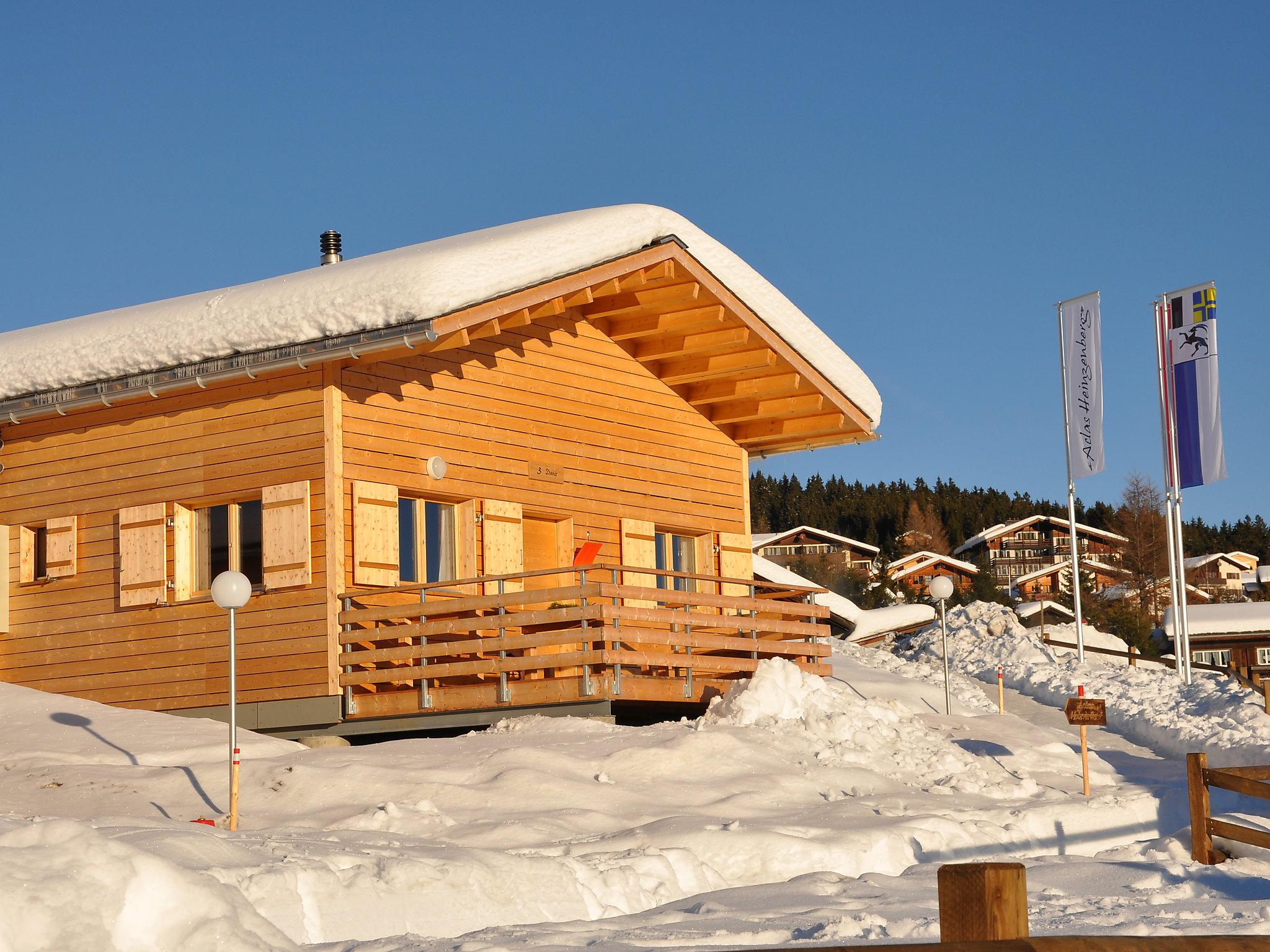 Photo 39 - Maison de 2 chambres à Tschappina avec terrasse et vues sur la montagne