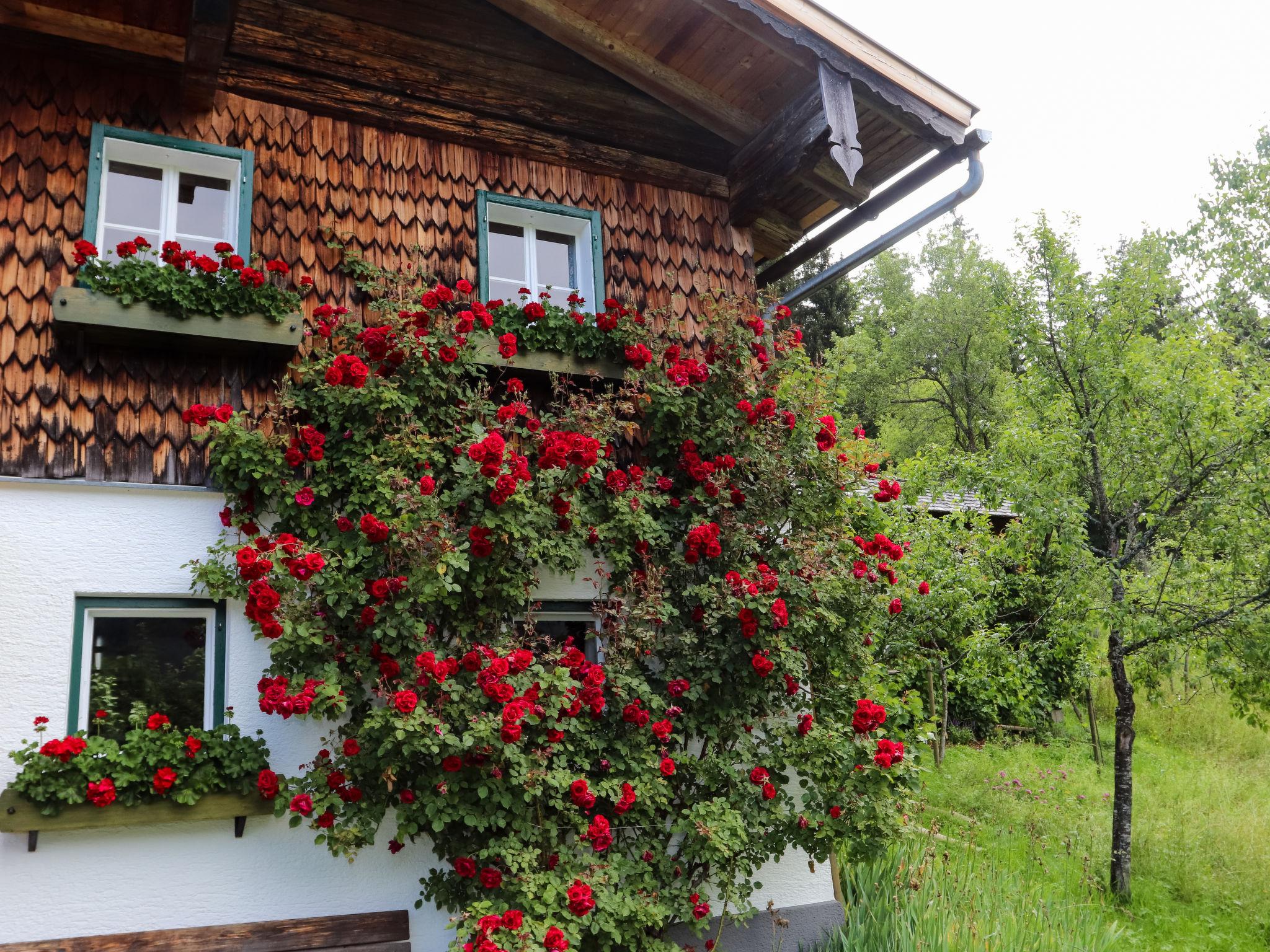 Photo 1 - Maison de 4 chambres à Abtenau avec jardin et vues sur la montagne