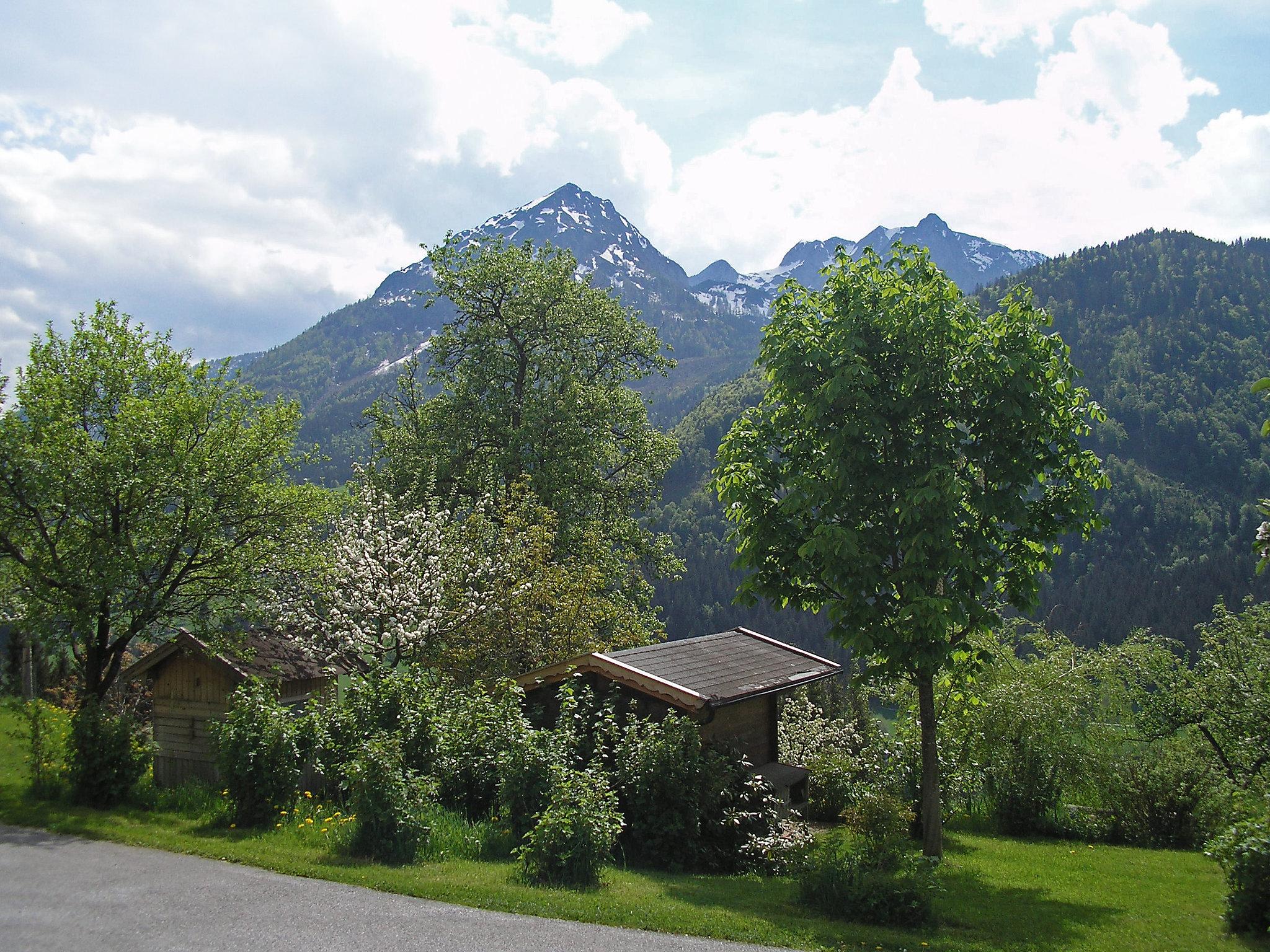 Foto 31 - Casa de 4 habitaciones en Abtenau con jardín y vistas a la montaña