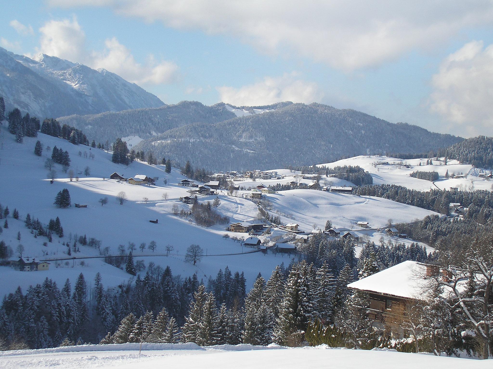 Foto 37 - Casa de 4 habitaciones en Abtenau con jardín y vistas a la montaña