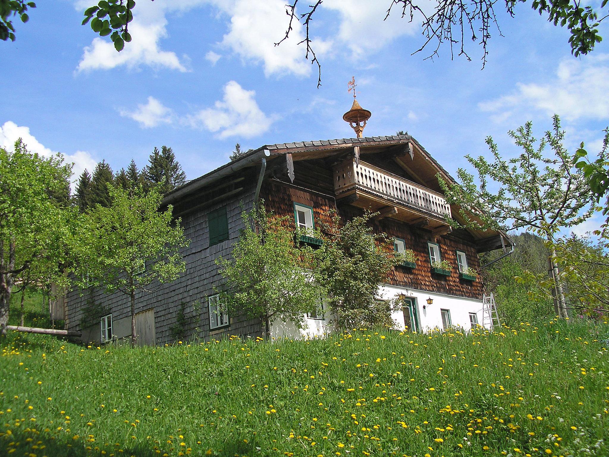 Foto 29 - Haus mit 4 Schlafzimmern in Abtenau mit garten und blick auf die berge