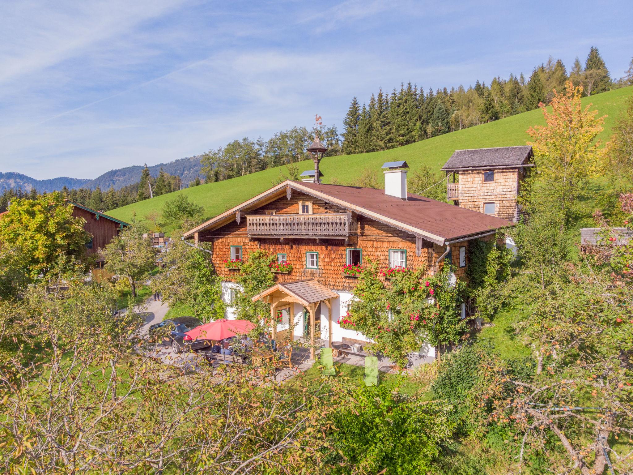 Foto 28 - Haus mit 4 Schlafzimmern in Abtenau mit garten und blick auf die berge