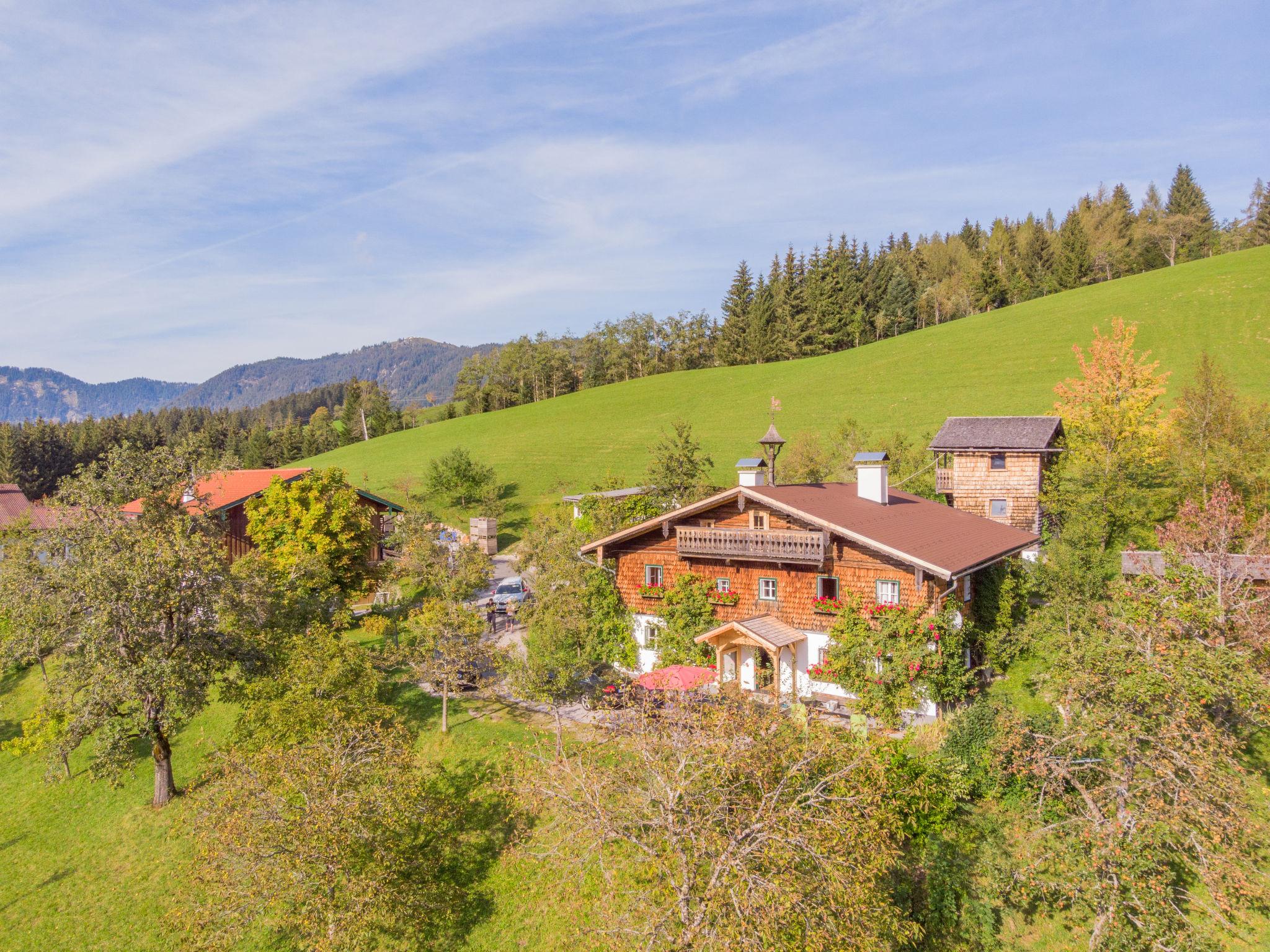 Foto 6 - Casa con 4 camere da letto a Abtenau con giardino e vista sulle montagne