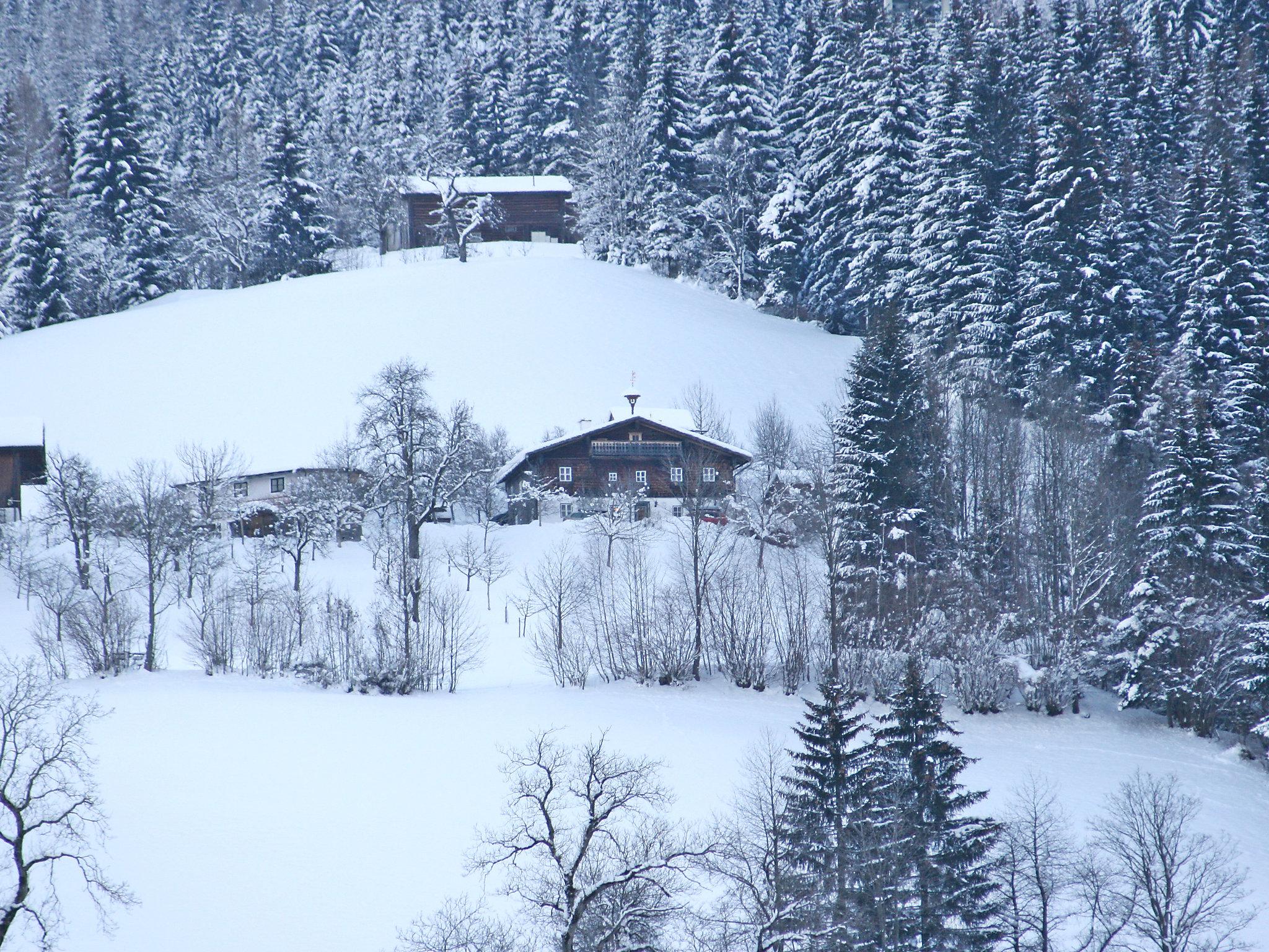 Photo 41 - Maison de 4 chambres à Abtenau avec jardin et vues sur la montagne