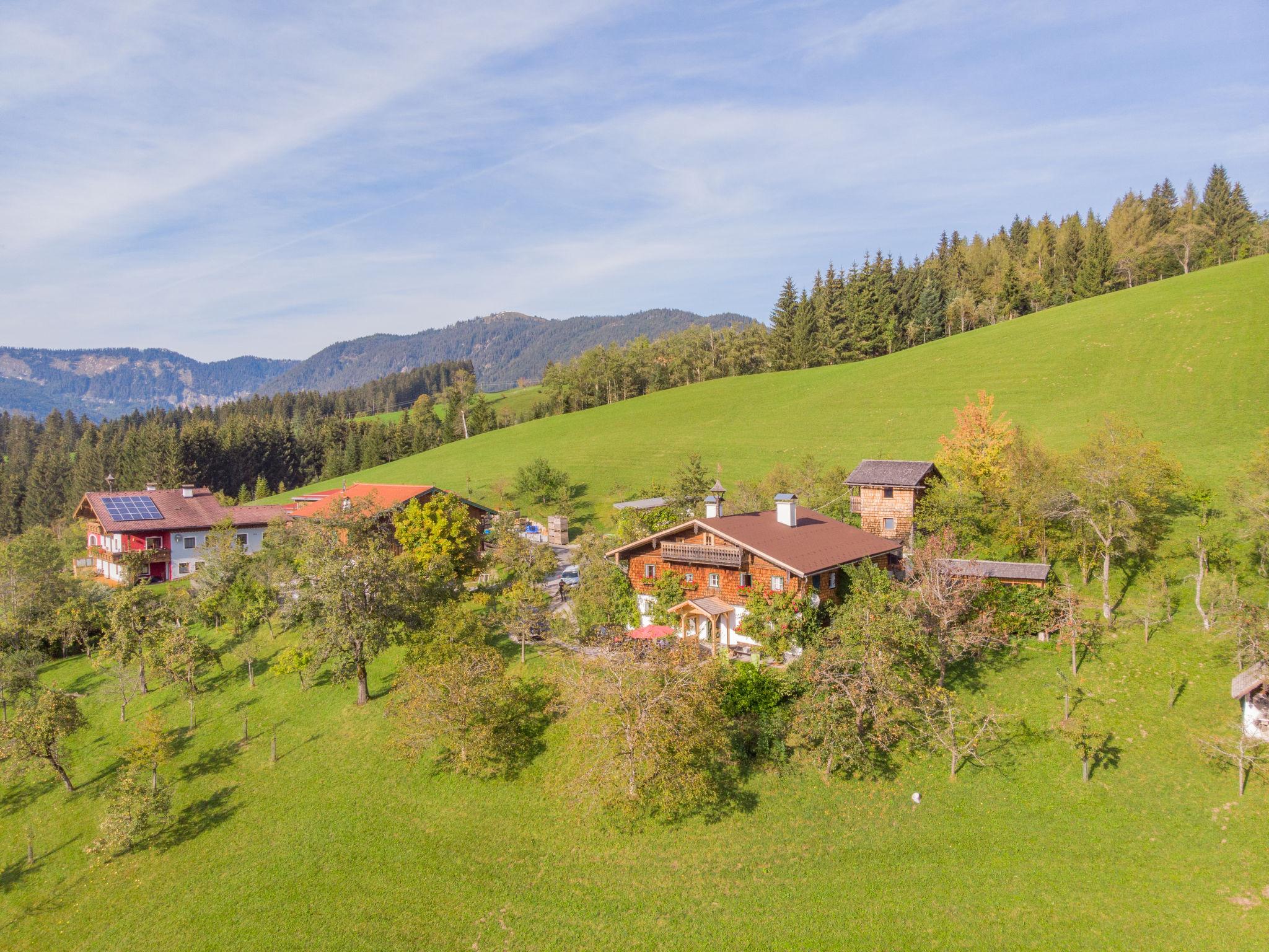 Photo 27 - Maison de 4 chambres à Abtenau avec jardin et vues sur la montagne