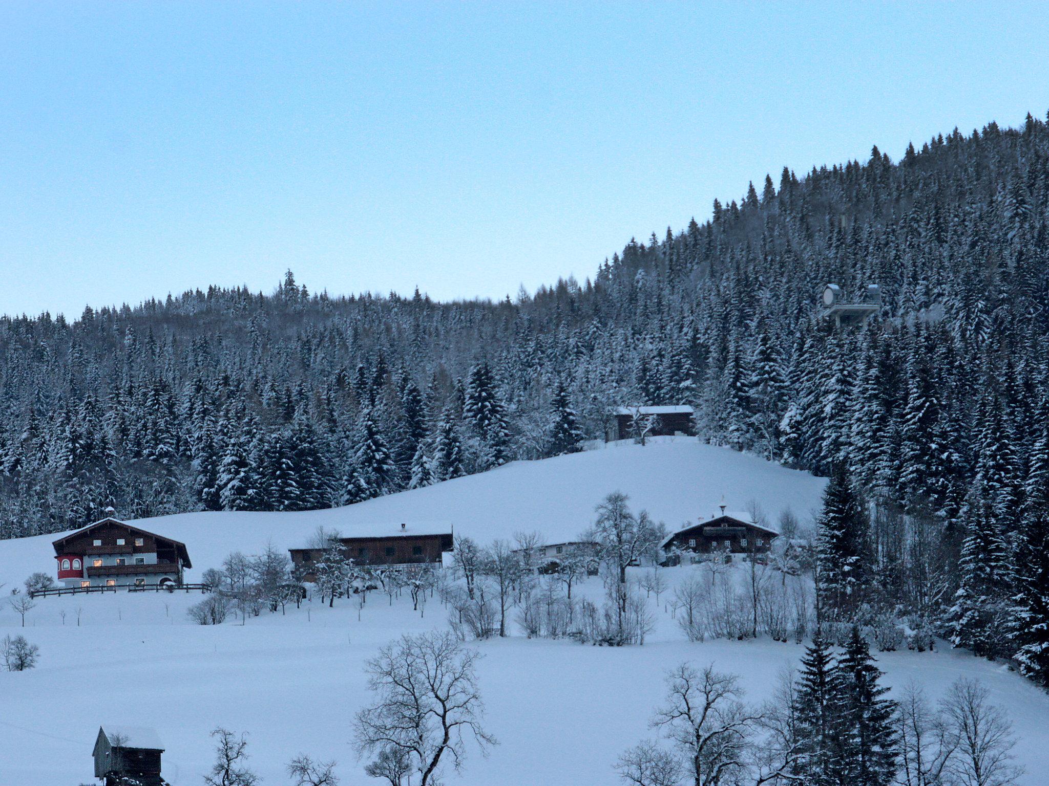 Photo 40 - Maison de 4 chambres à Abtenau avec jardin et vues sur la montagne