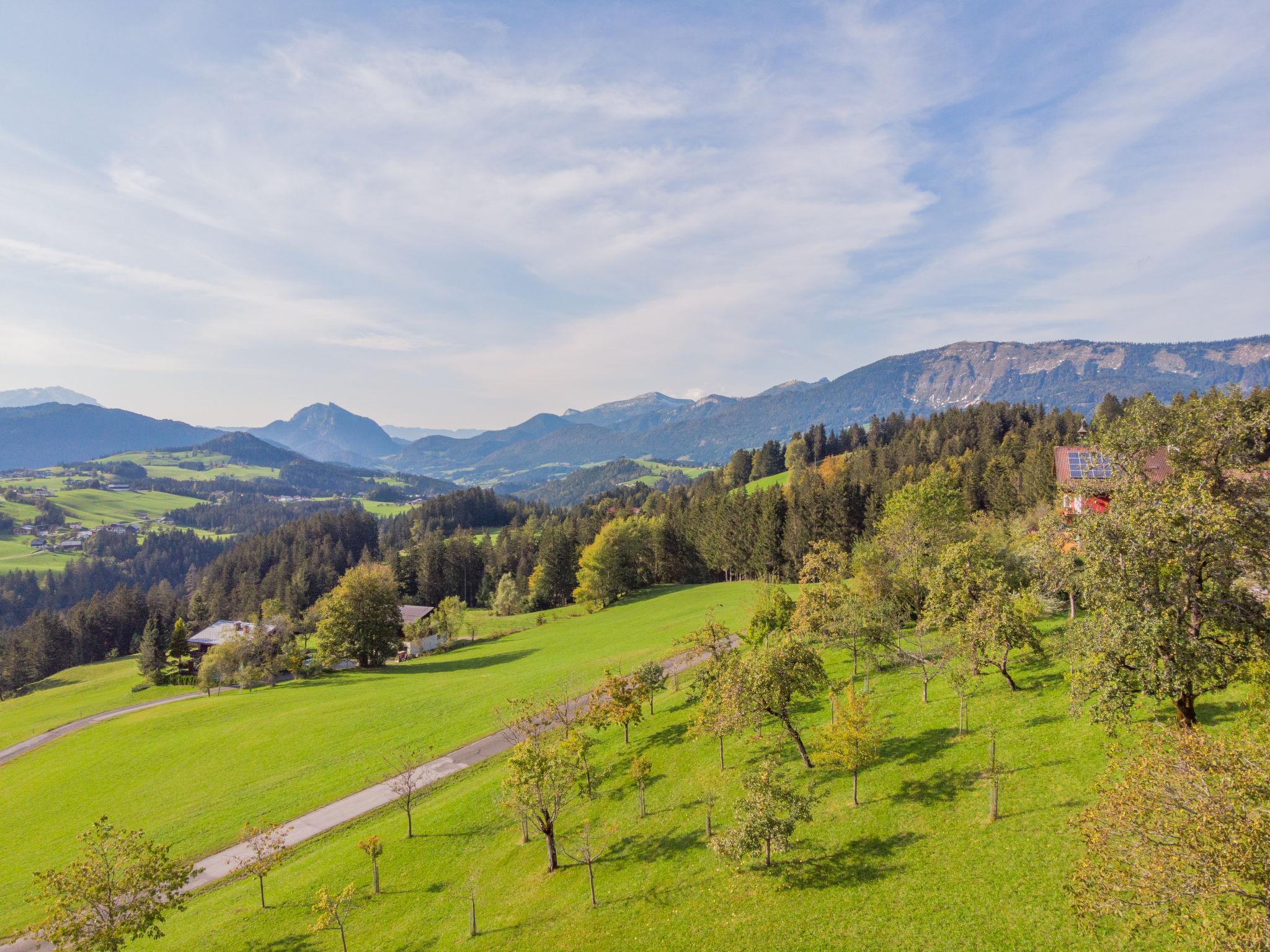 Photo 25 - Maison de 4 chambres à Abtenau avec jardin et vues sur la montagne