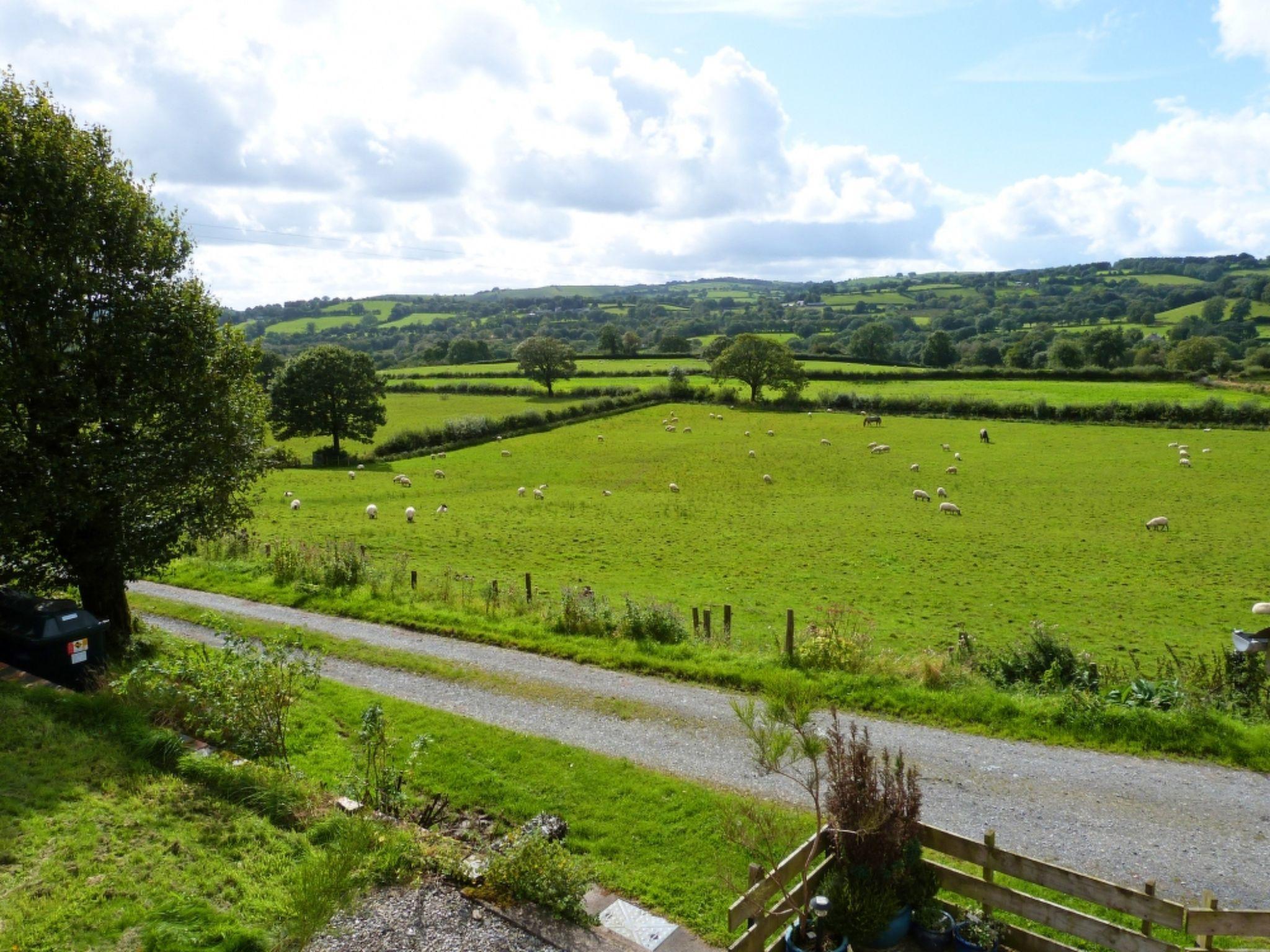 Photo 17 - 1 bedroom House in Llanwrda with garden