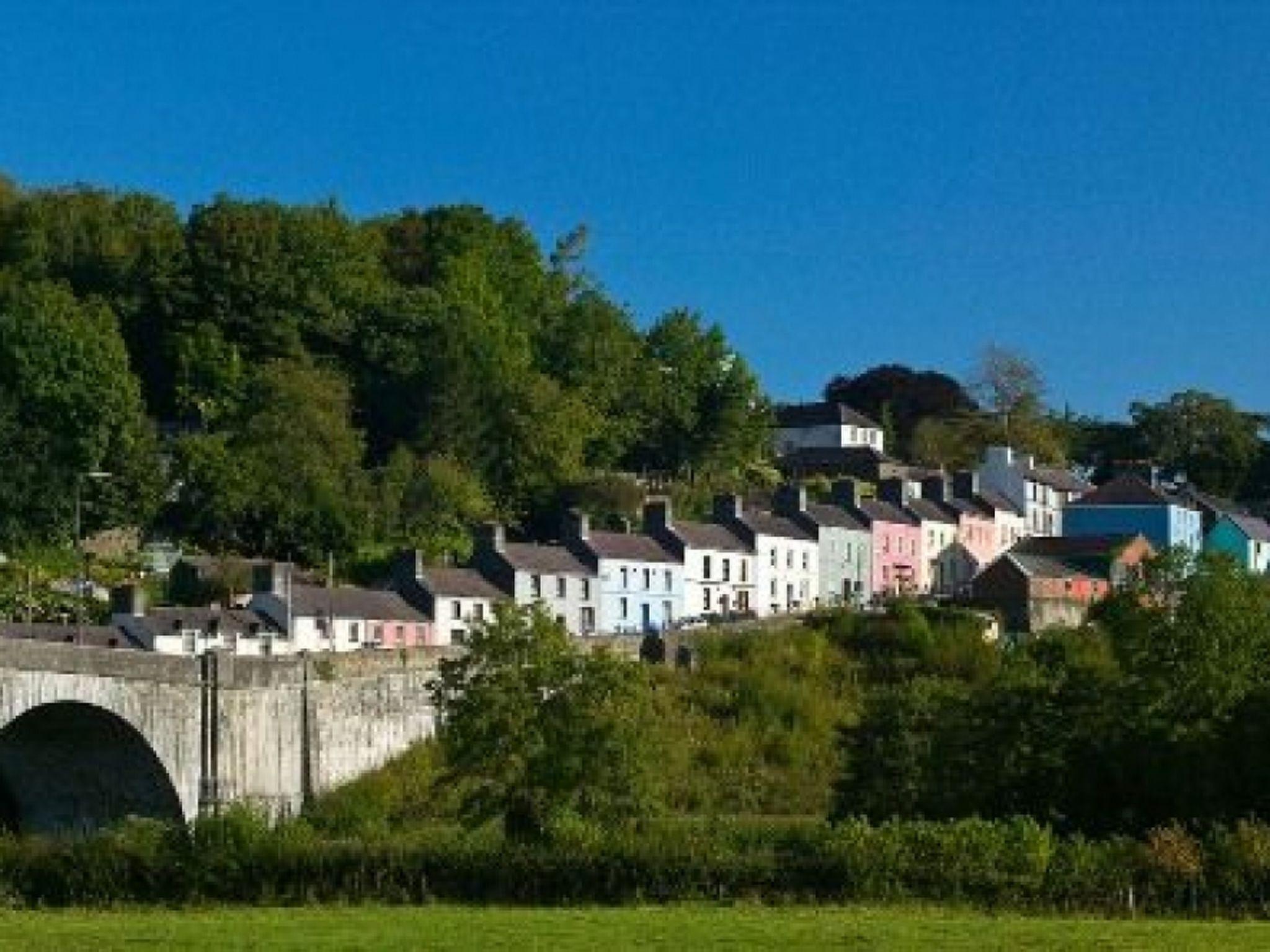 Photo 20 - 1 bedroom House in Llanwrda with garden