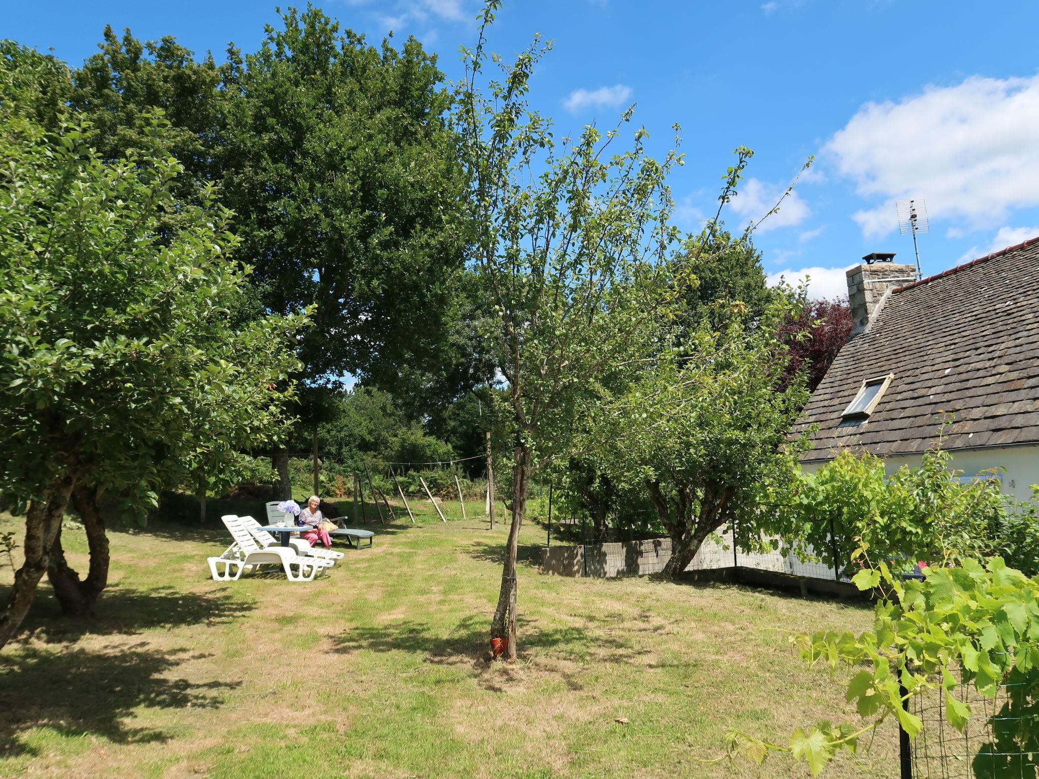 Foto 31 - Casa con 5 camere da letto a Trémel con giardino e terrazza